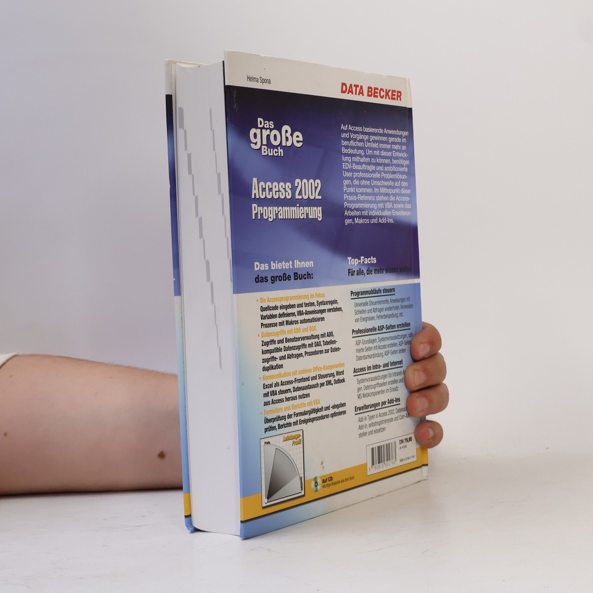 Helma Spona Das große Buch Access 2002-Programmierung