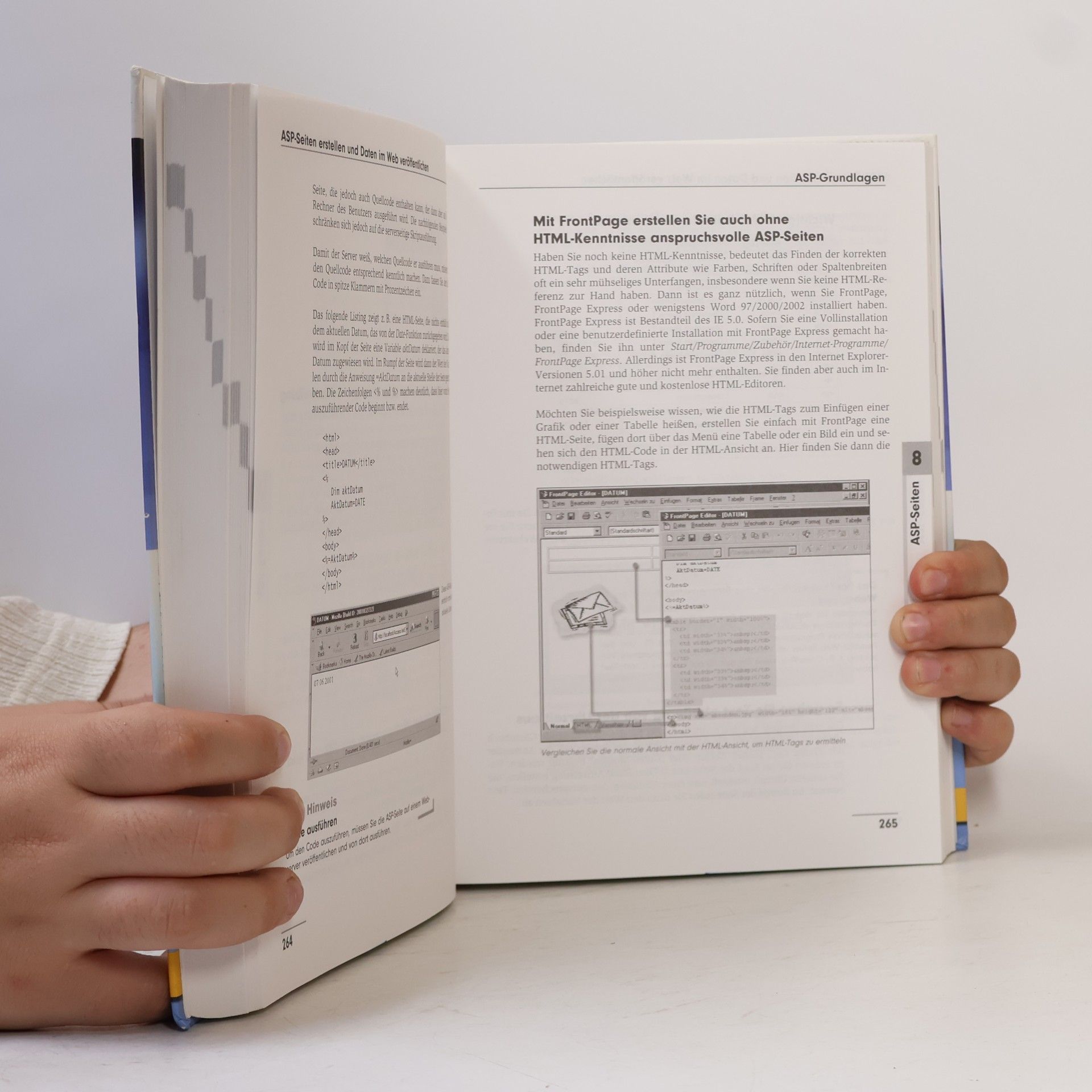 Helma Spona Das große Buch Access 2002-Programmierung
