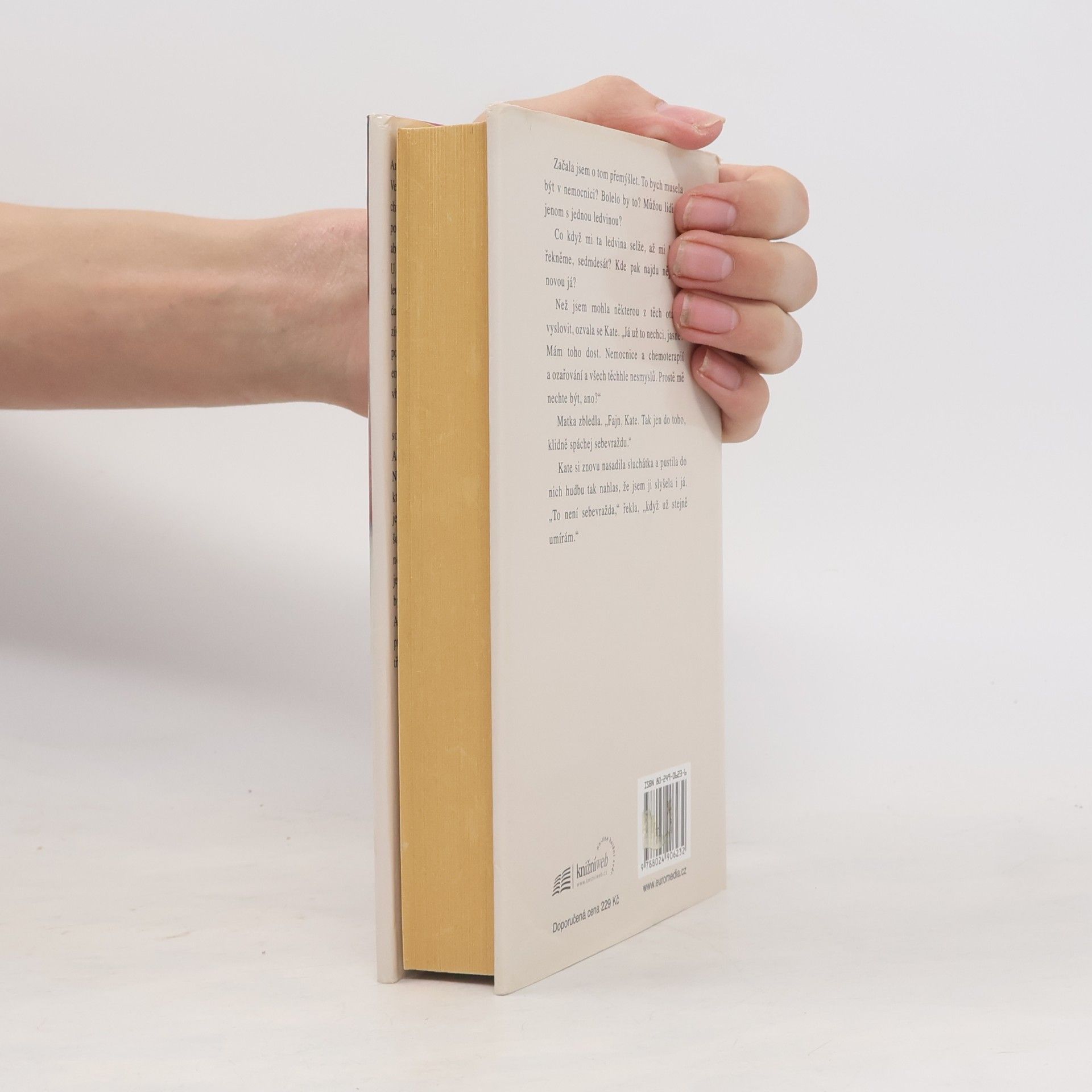 Jodi Picoult Je to i můj život