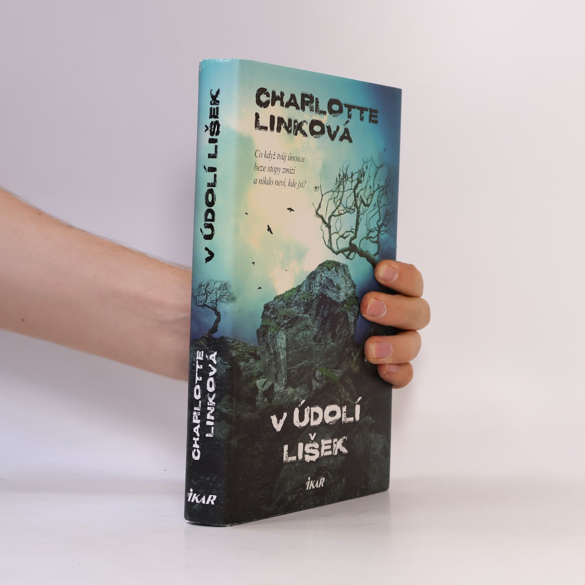 Charlotte Link V údolí lišek