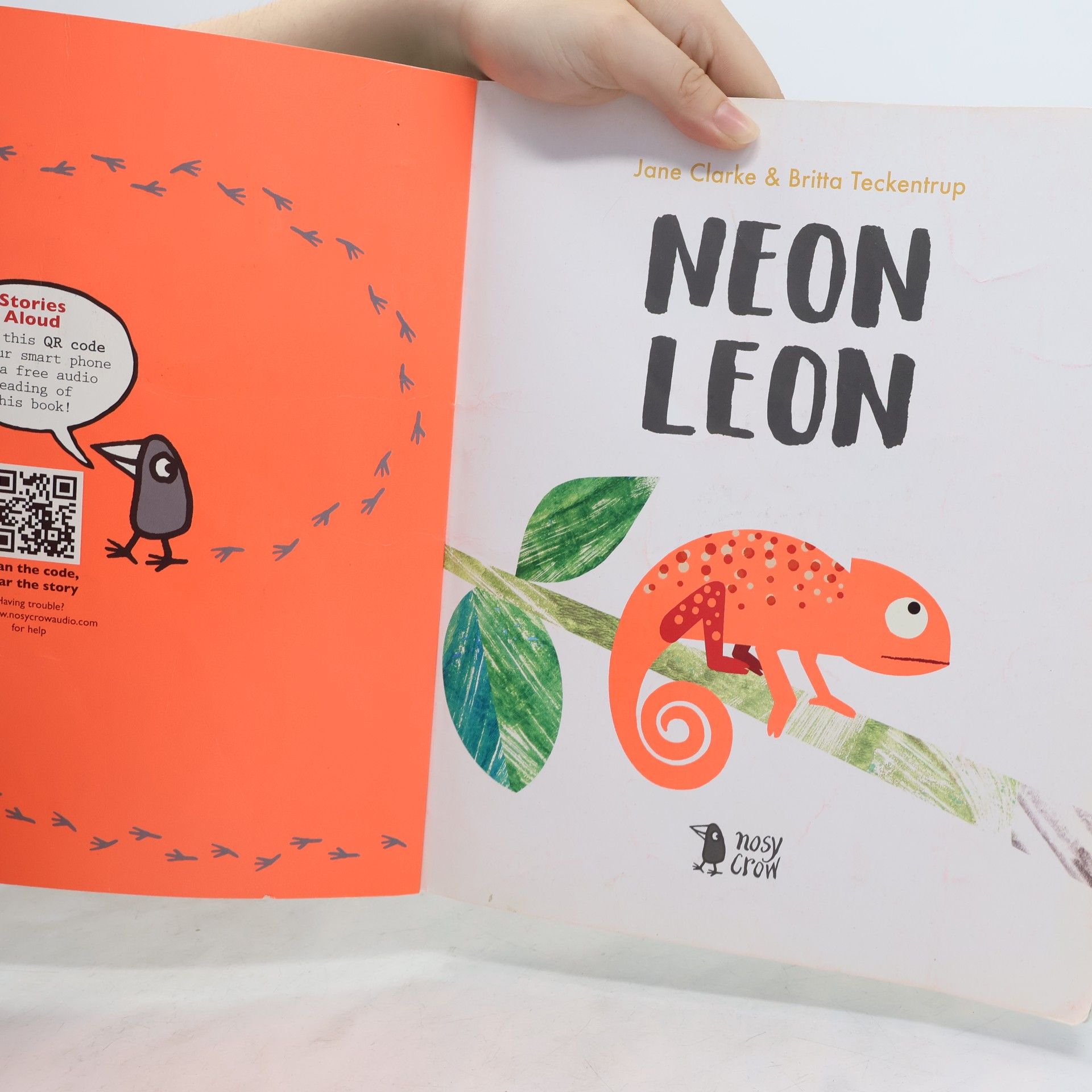 Hayley Daze Neon Leon