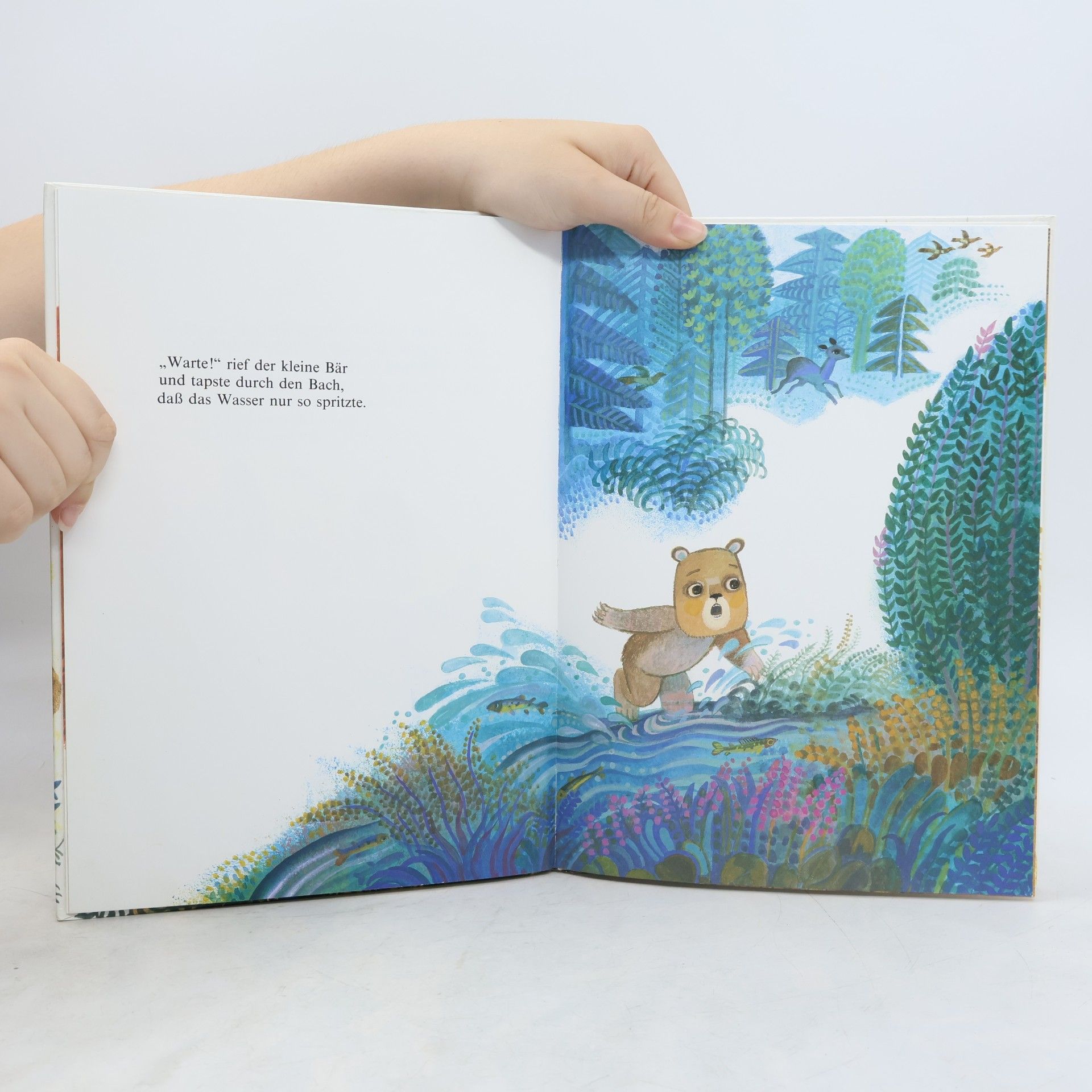 Josef Paleček Der große Bär und der kleine Bär