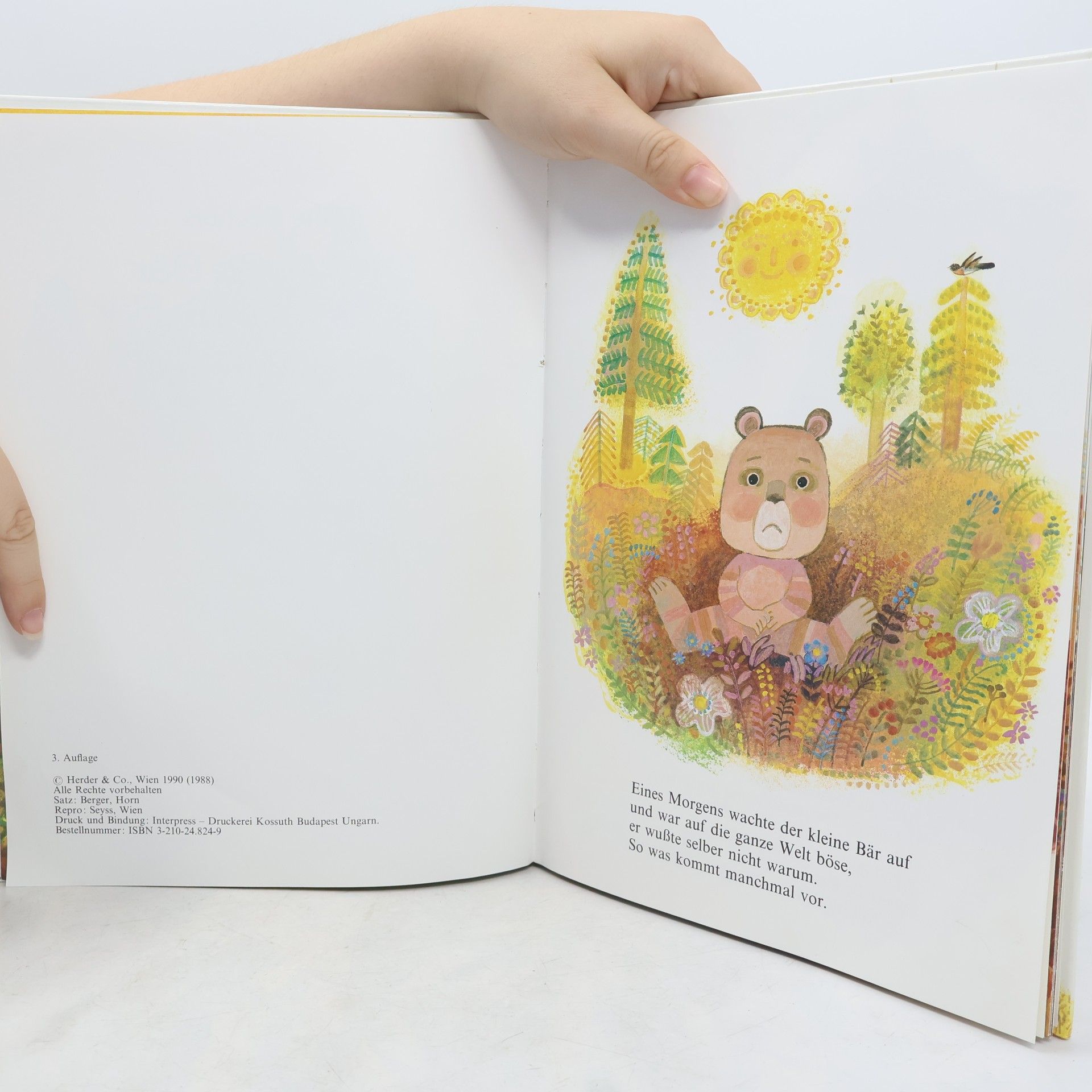 Josef Paleček Der große Bär und der kleine Bär