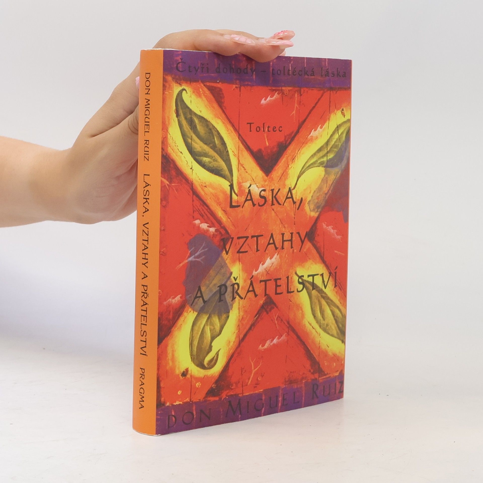 Don Miguel Ruiz Láska, vztahy a přátelství