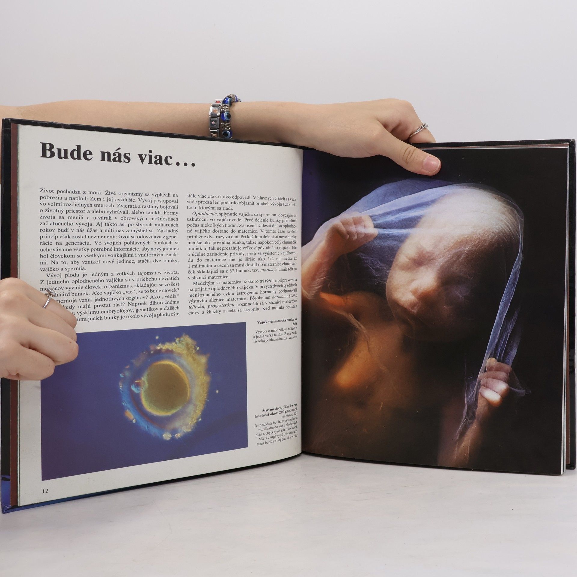 kolektiv Ako sa nepoznáme: Objavná cesta s fotografickým aparátom do nášho tela