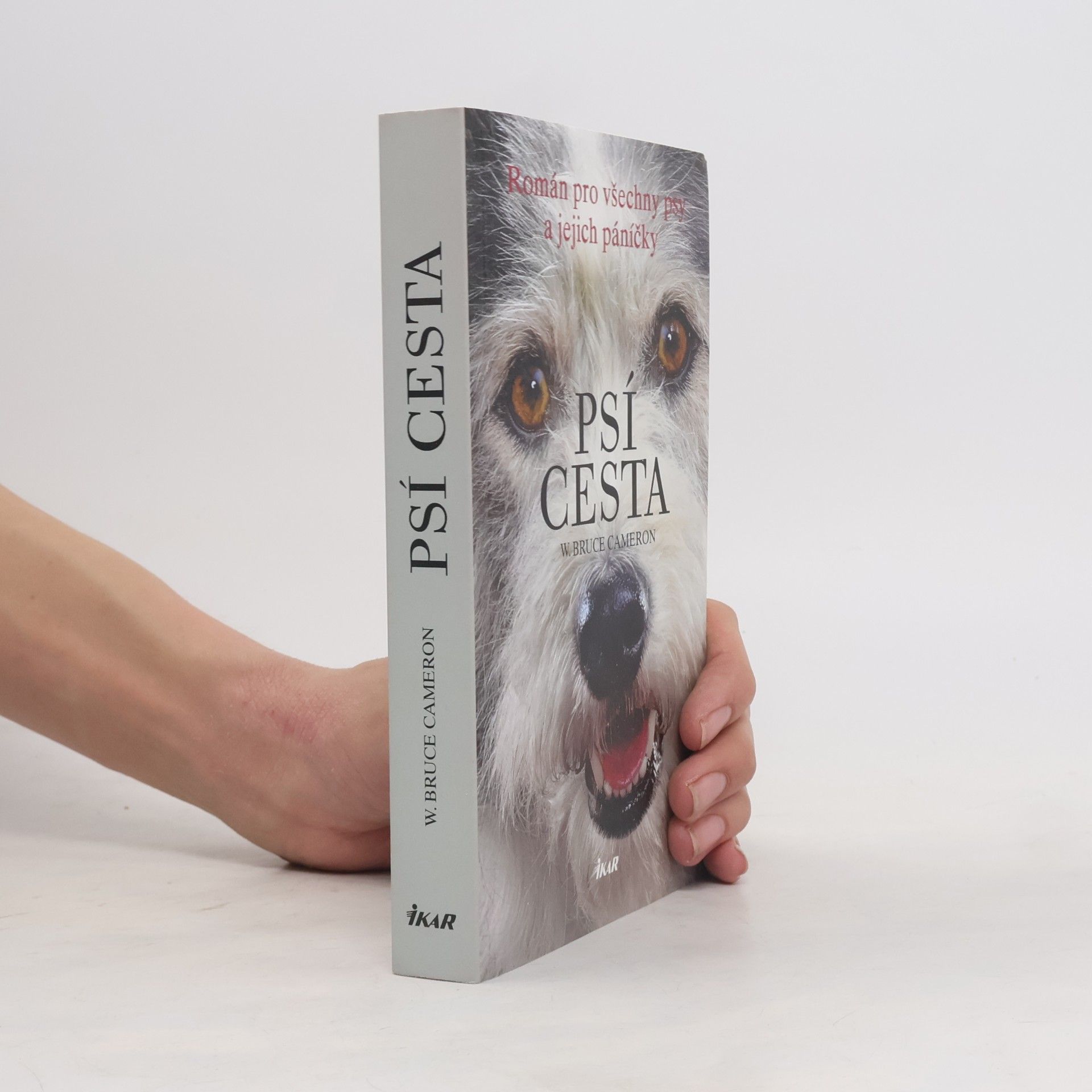 Psí cesta