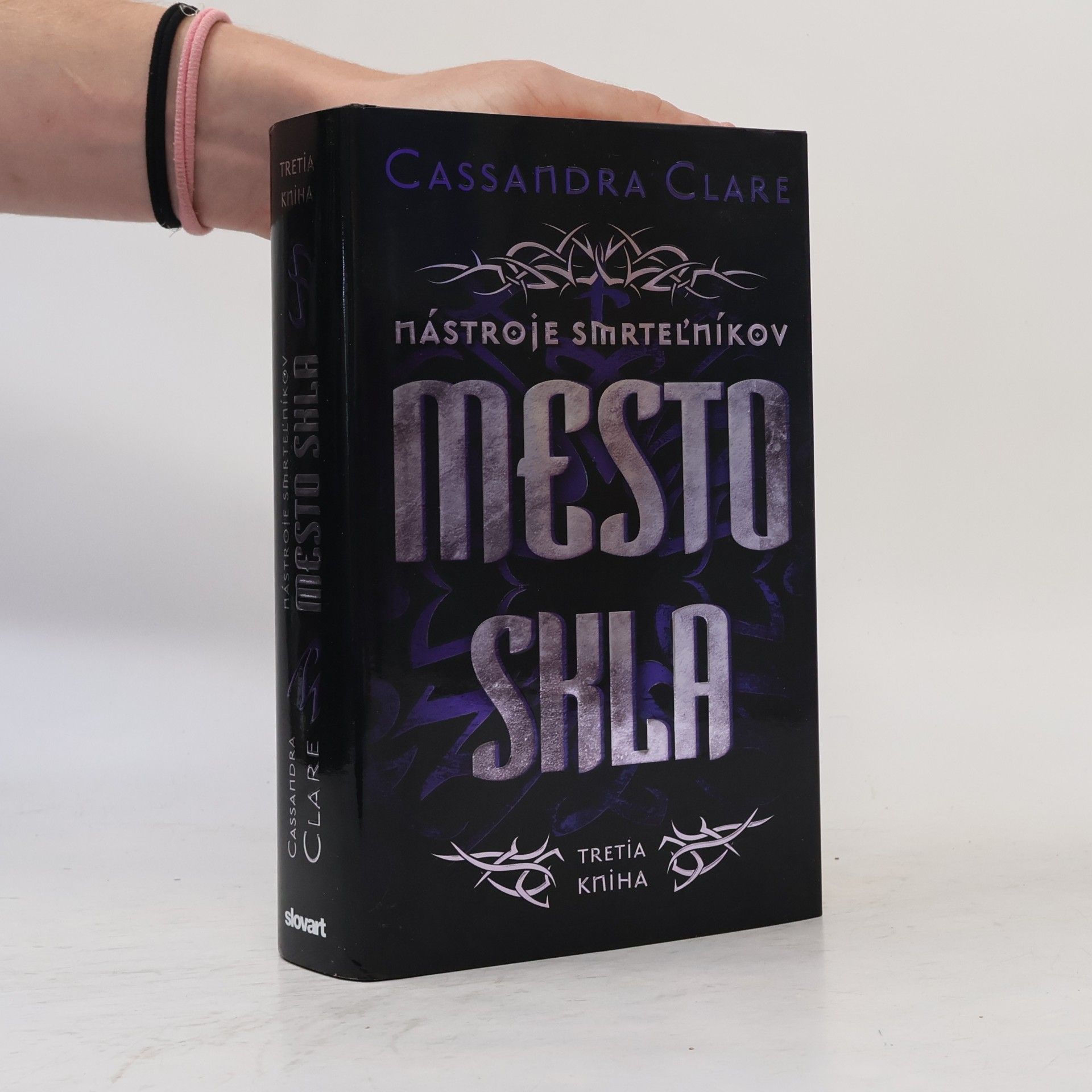 Cassandra Clare Mesto skla