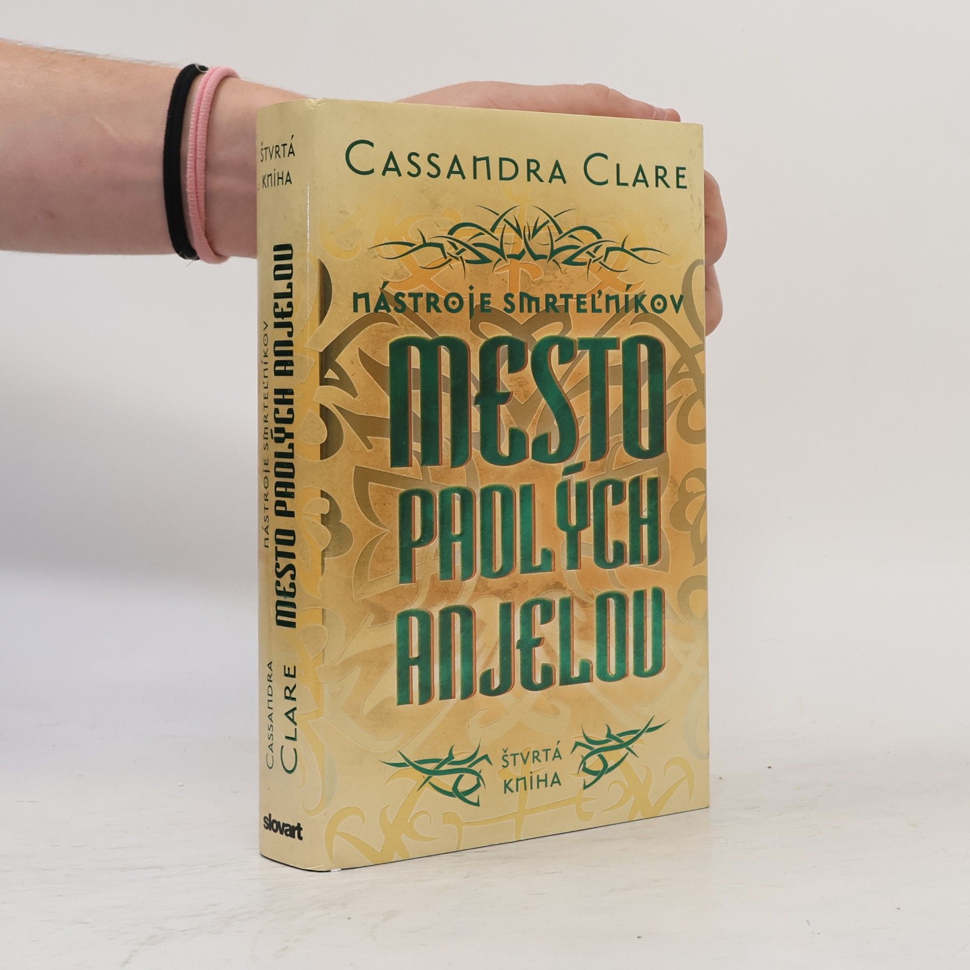 Cassandra Clare Mesto padlých anjelov