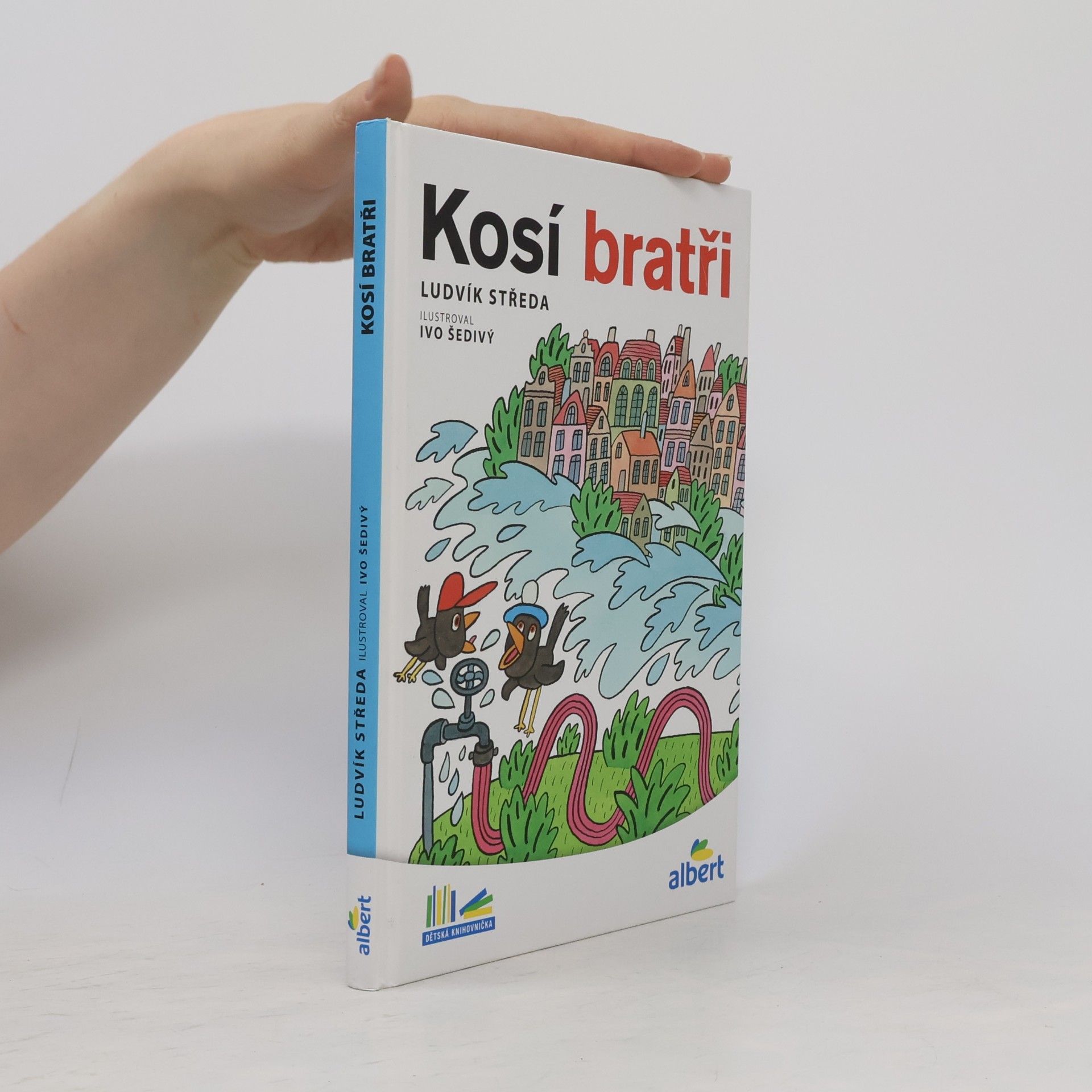 Ludvík Středa Kosí bratři