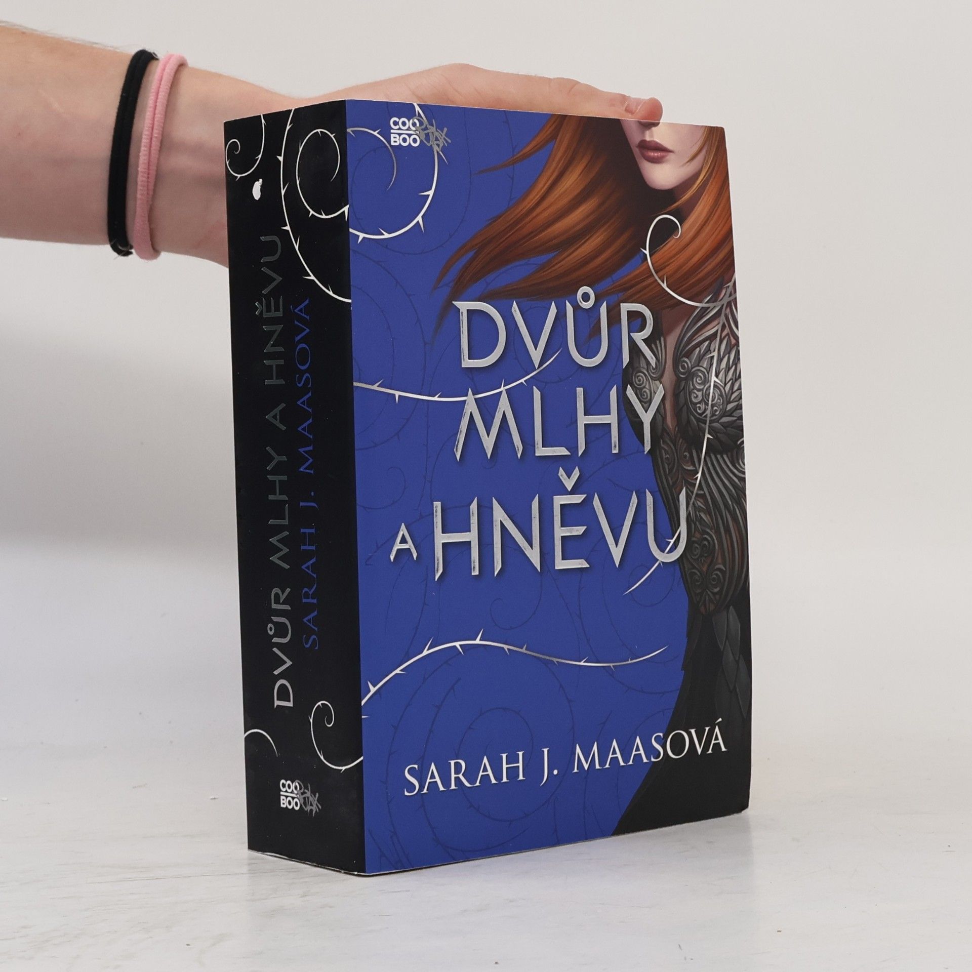 Sarah J. Maas Dvůr mlhy a hněvu