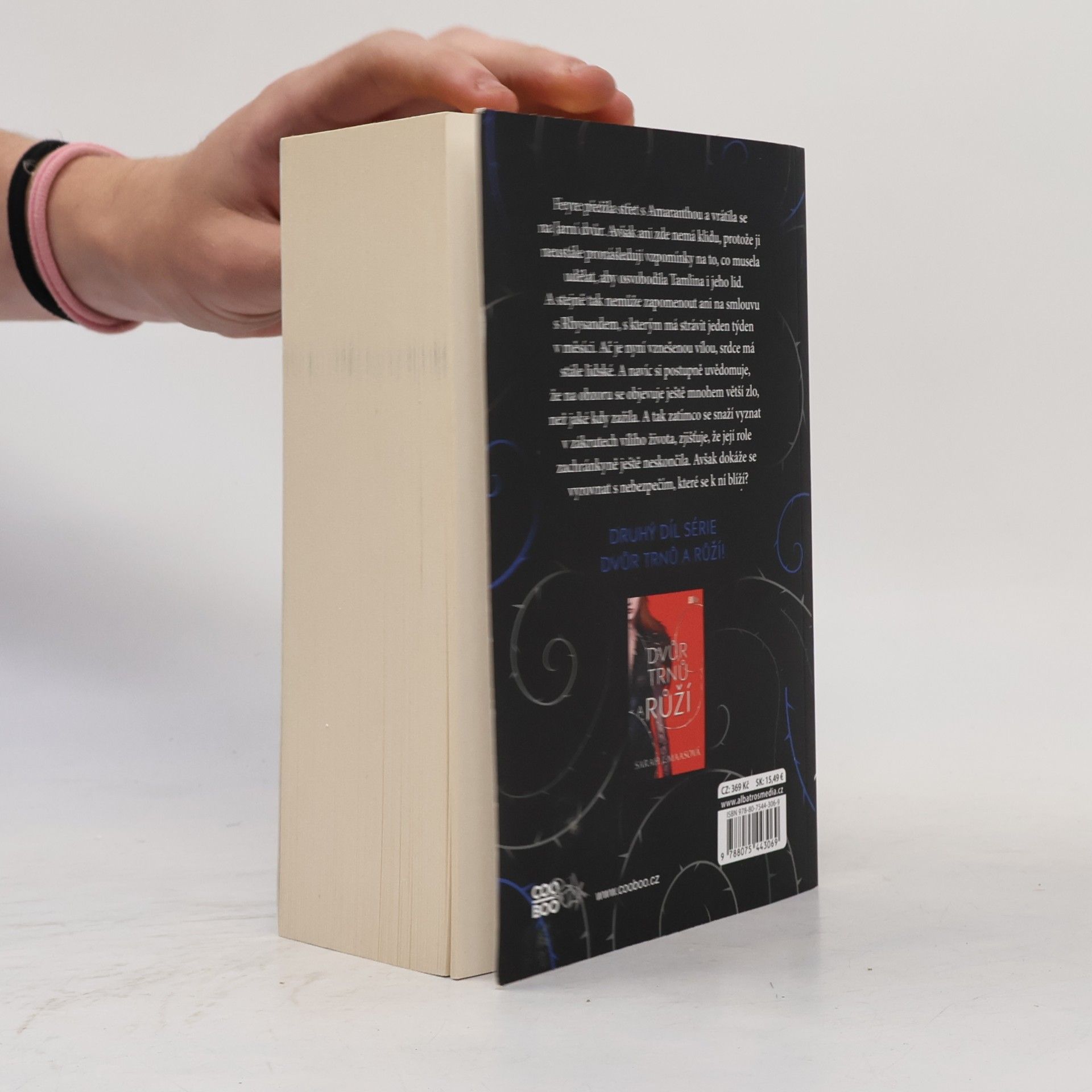 Sarah J. Maas Dvůr mlhy a hněvu