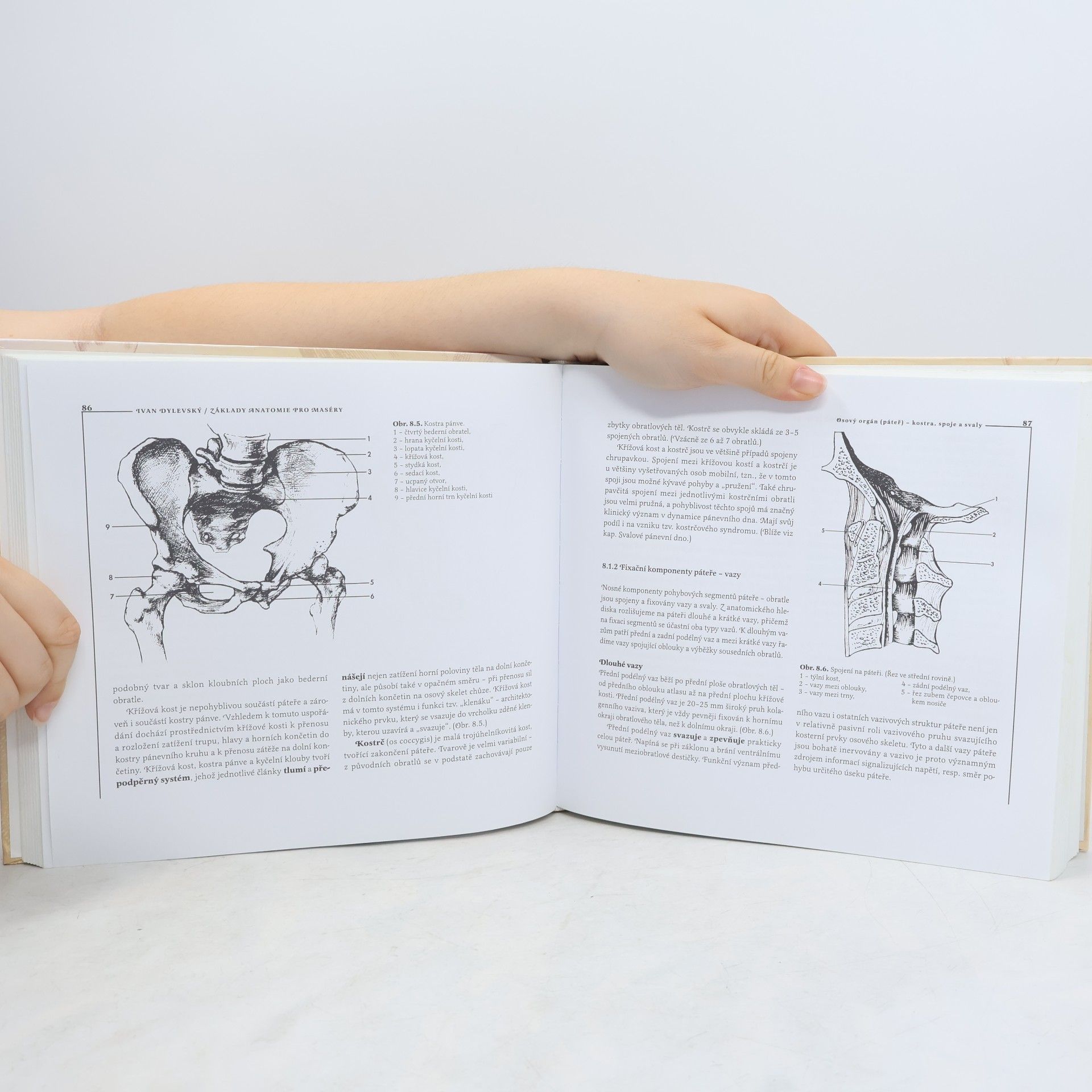 Ivan Dylevský Základy anatomie pro maséry