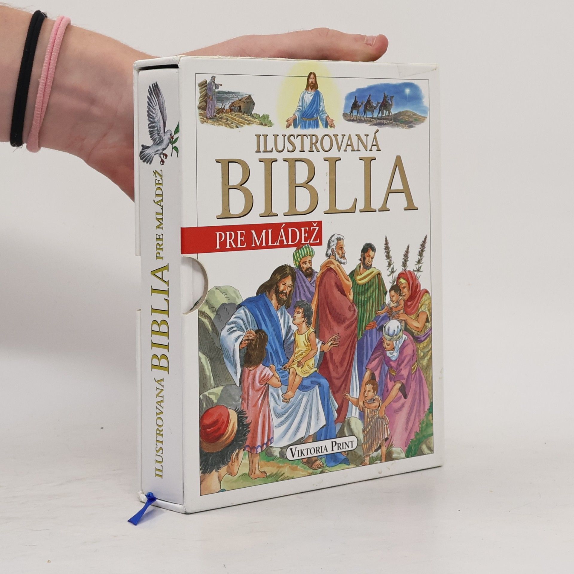 Various authors Ilustrovaná Biblia pre mládež