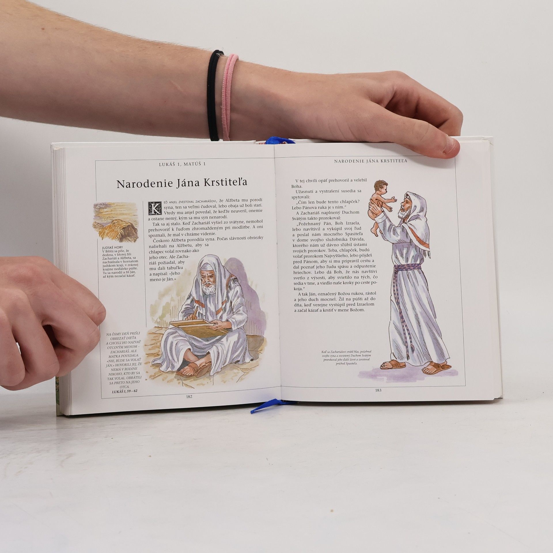 Autorenkollektiv Ilustrovaná Biblia pre mládež