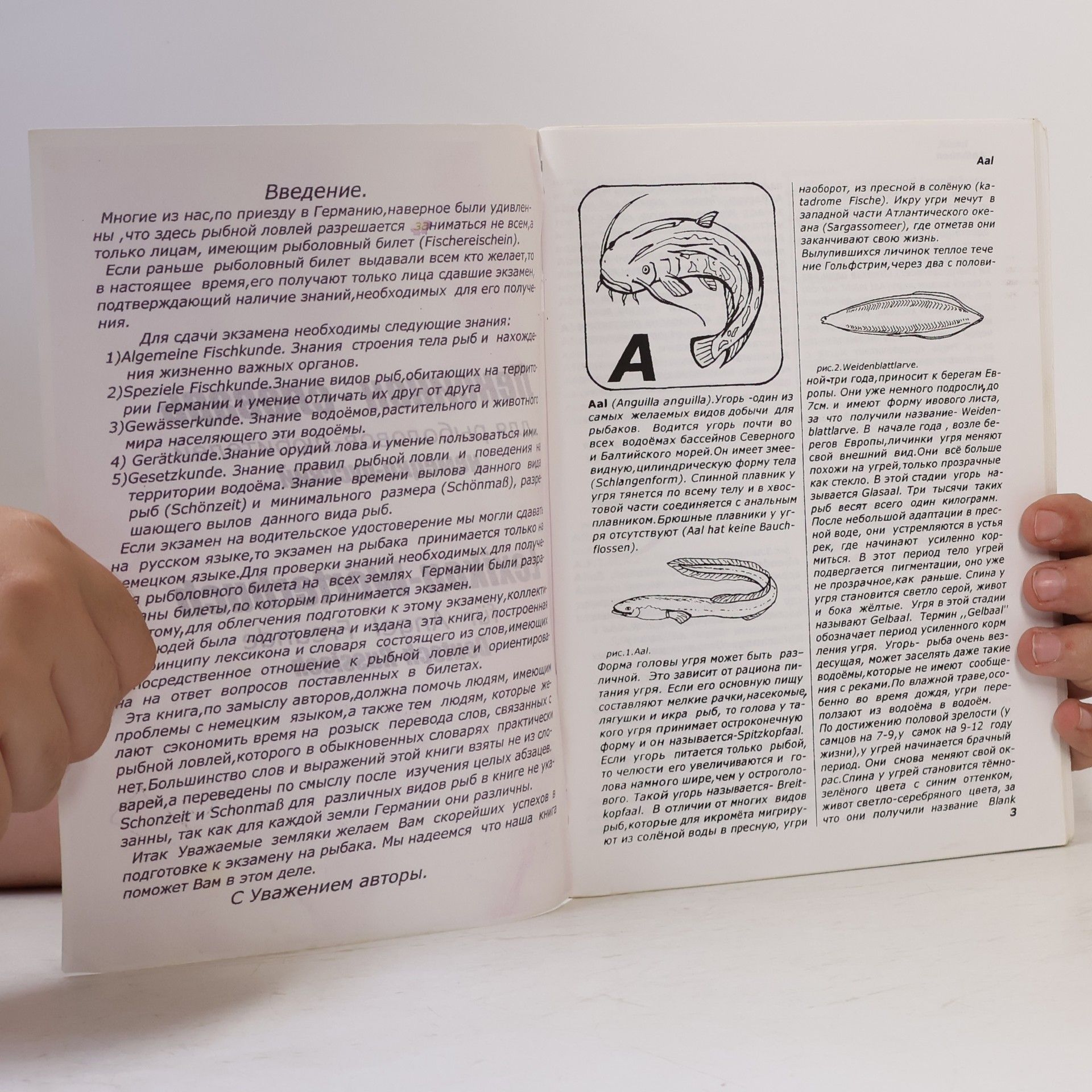 Autorenkollektiv Лексикон - словарь для рыболовов-любителей немецко-русский. Lexikon-Wörterbuch für Angel Freunde Deutsch-Russisch