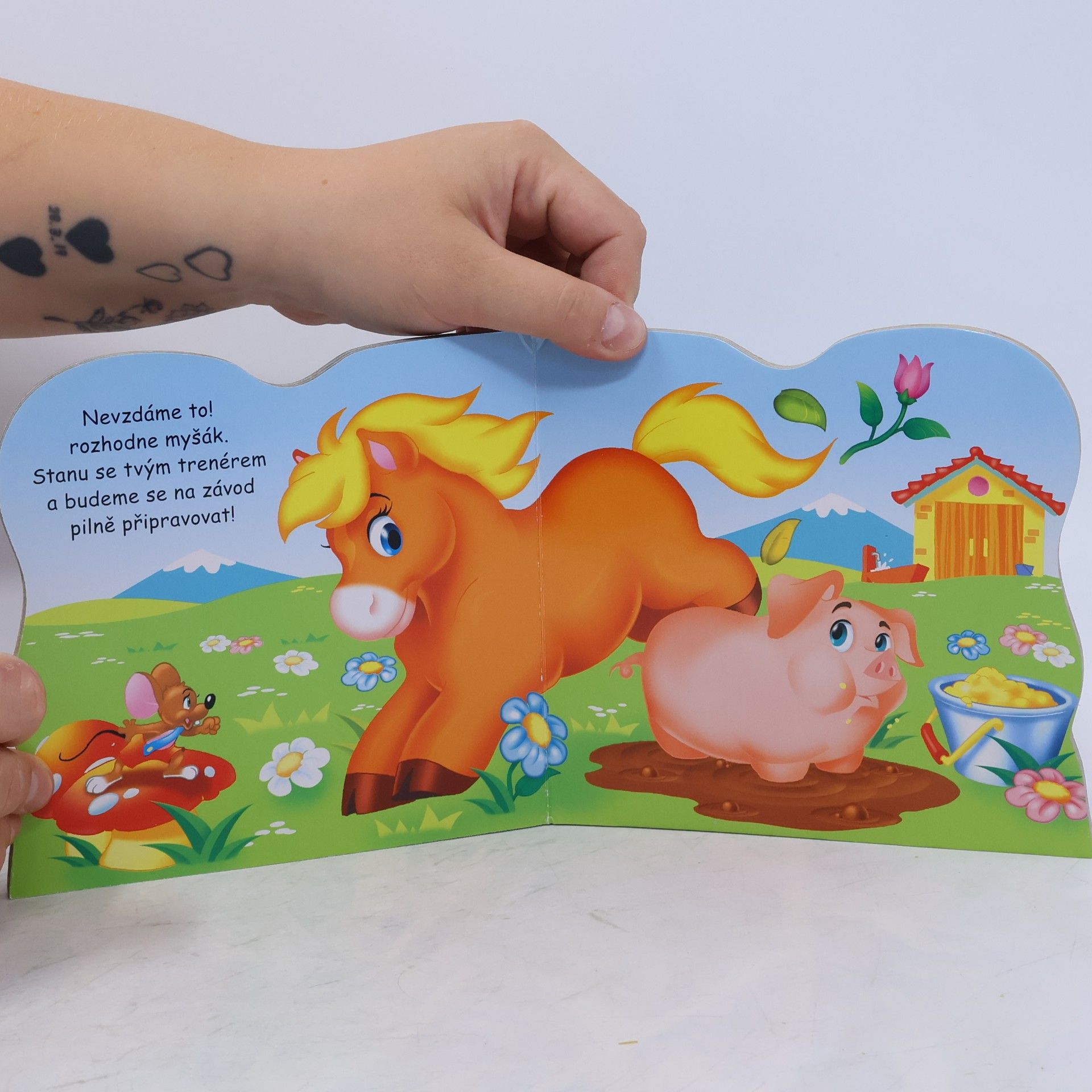 Autorenkollektiv Koník - Čtení o zvířátkách