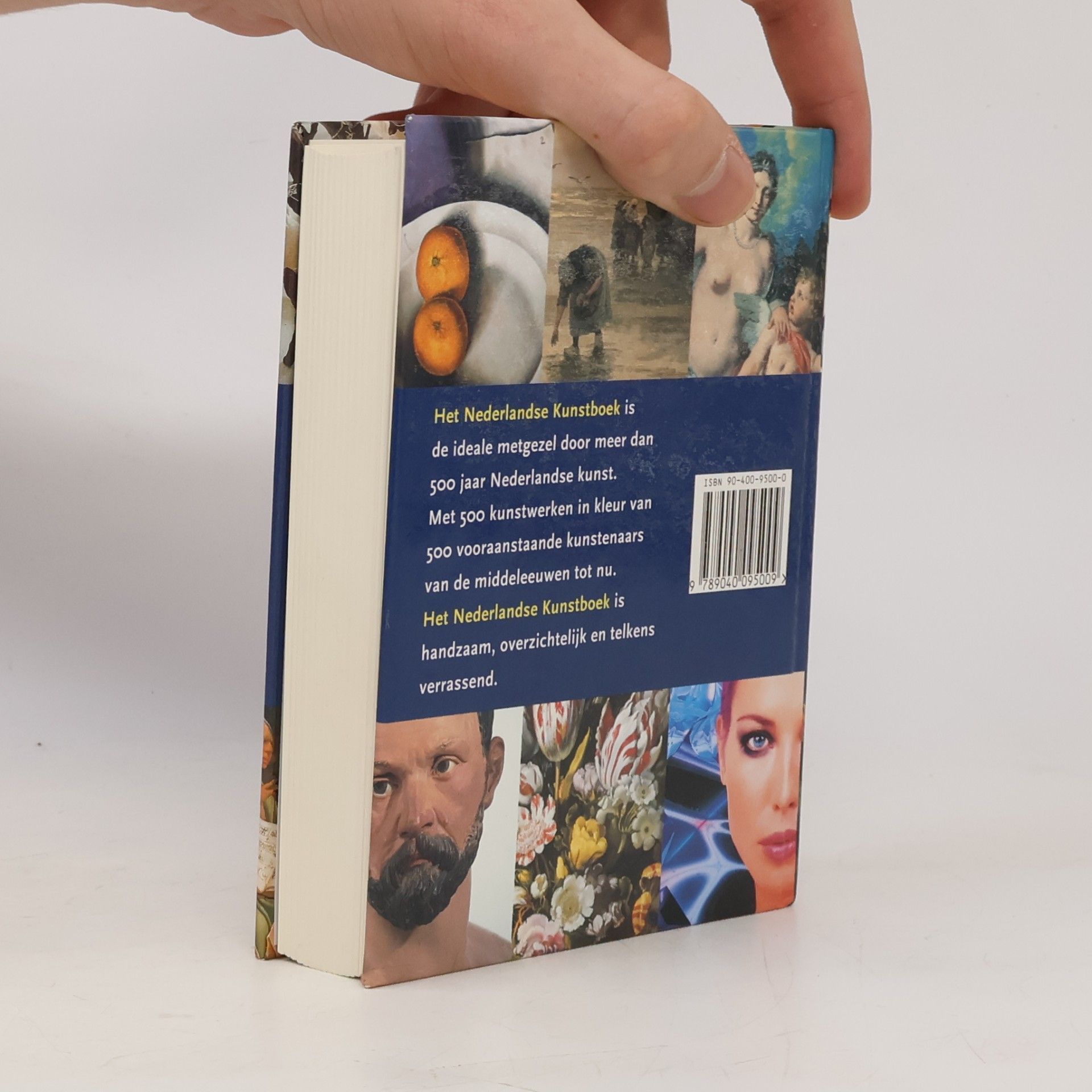 Colin Huizing Het Nederlandse kunstboek