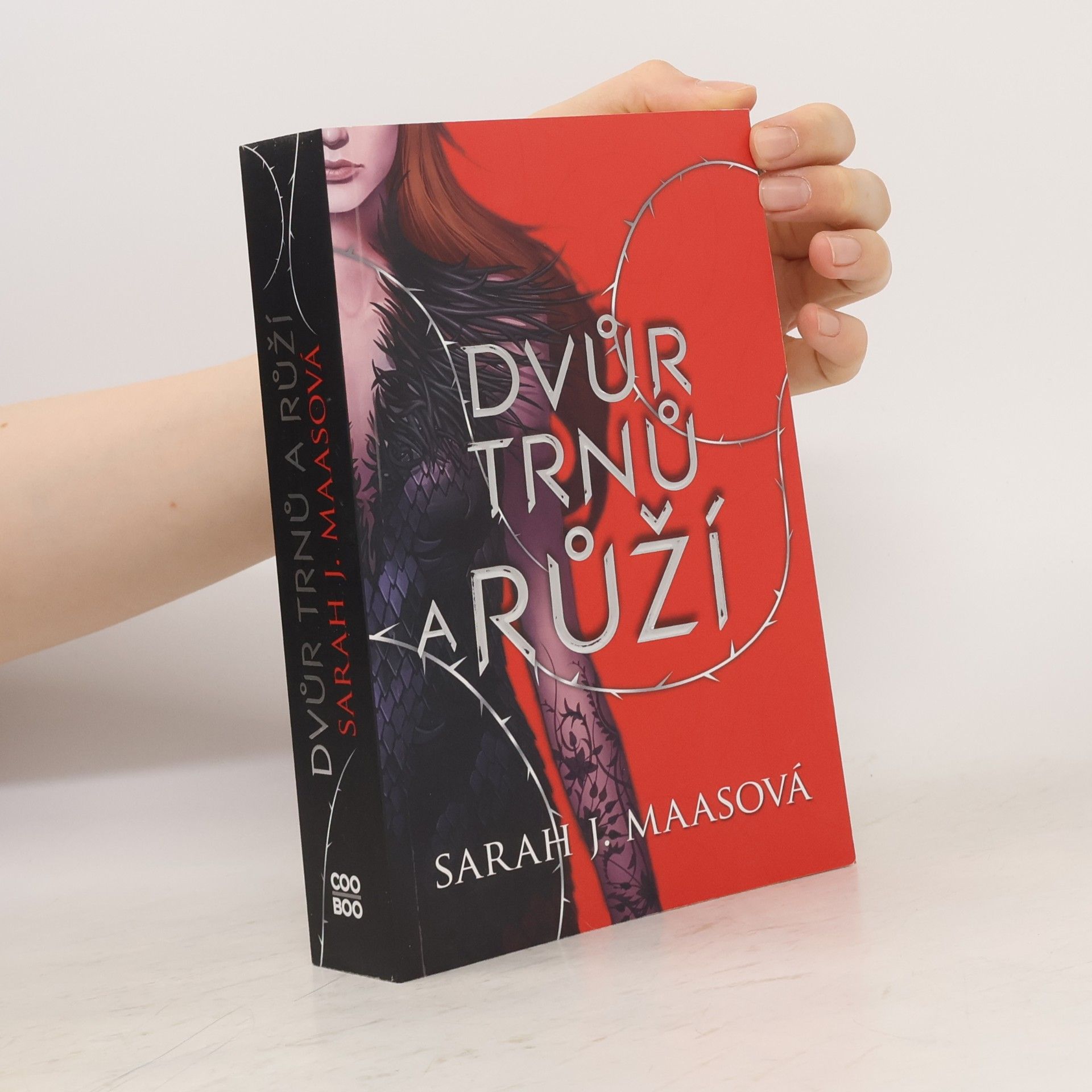 Sarah J. Maas Dvůr trnů a růží