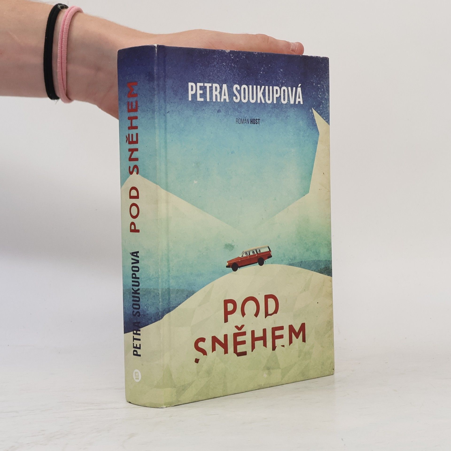 Petra Soukupová Pod sněhem