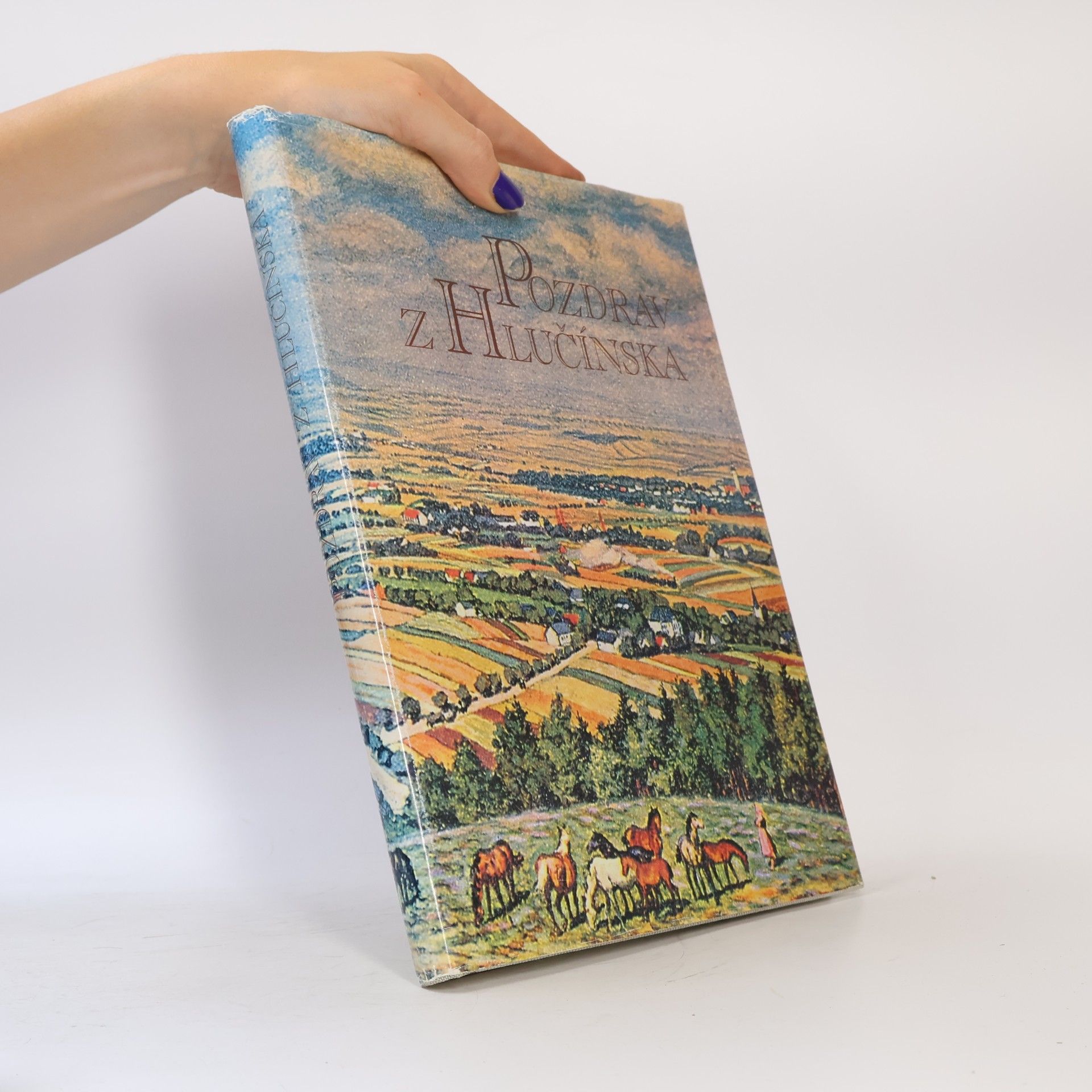 Liana Brabcová Pozdrav z Hlučínska: pohlednice a historie