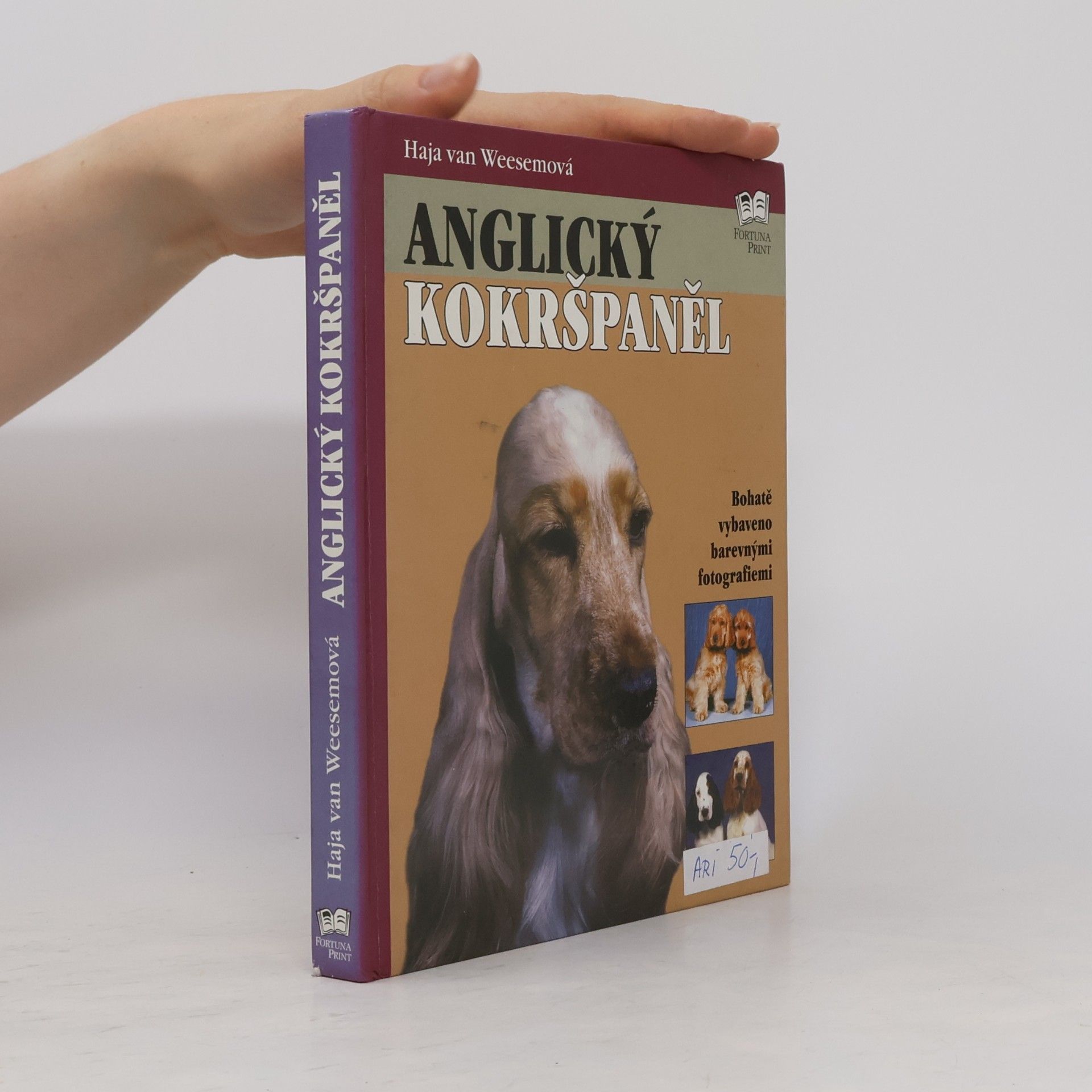 Haja van Wessem Anglický kokršpaněl