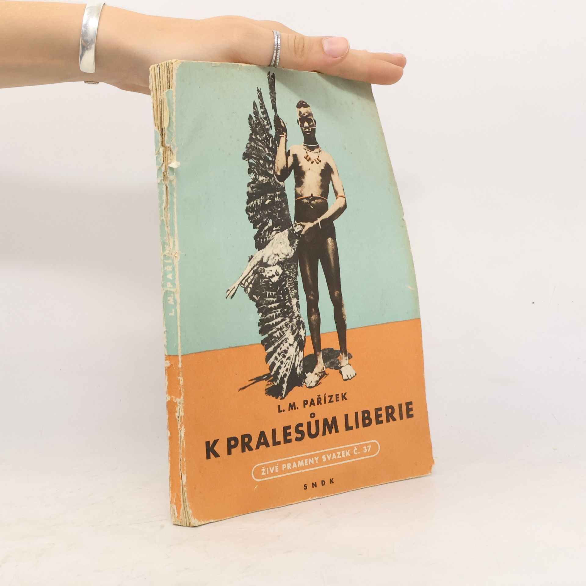 Ladislav Mikeš Pařízek K pralesům Liberie