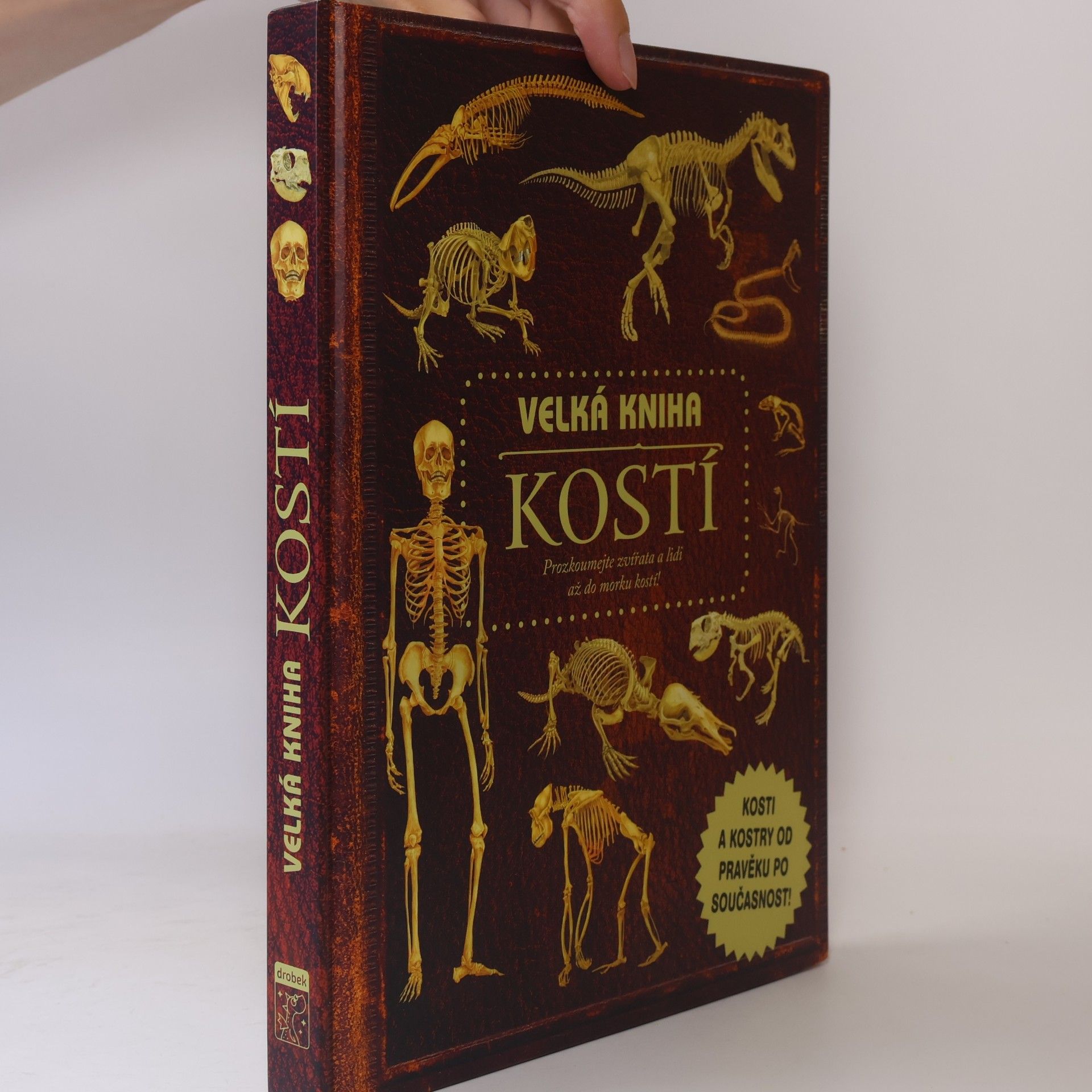 Petr Kotouš Velká kniha kostí