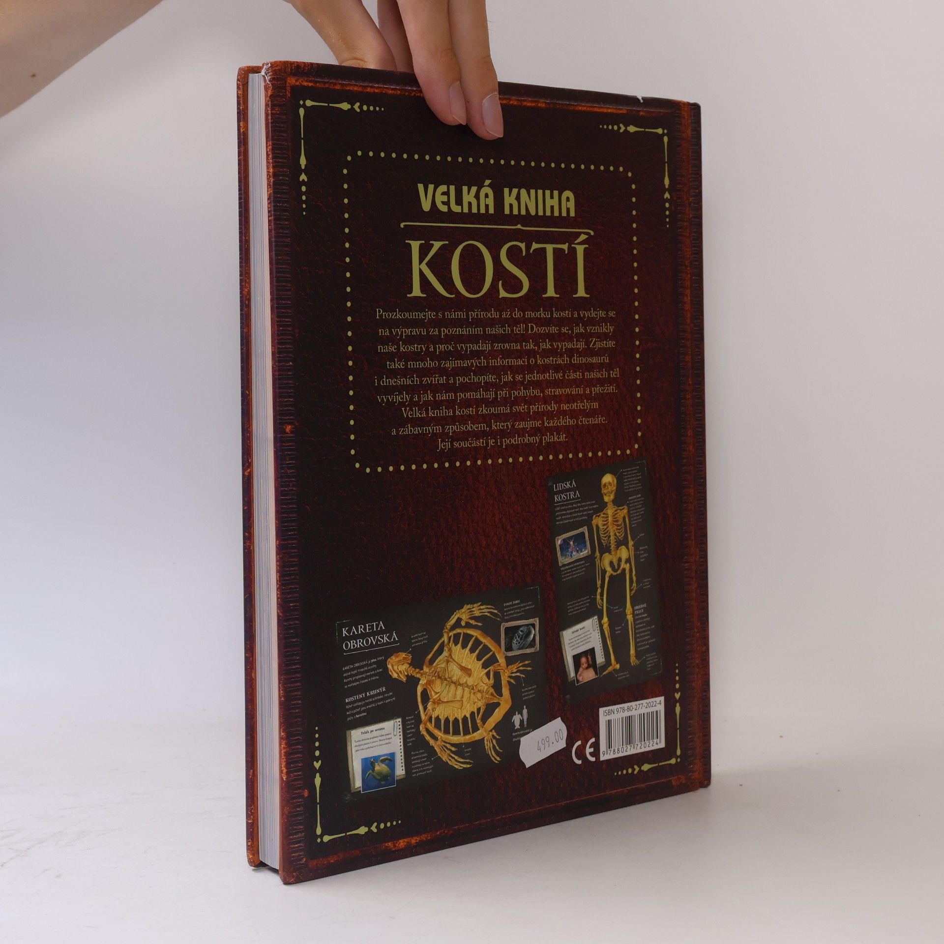 Petr Kotouš Velká kniha kostí