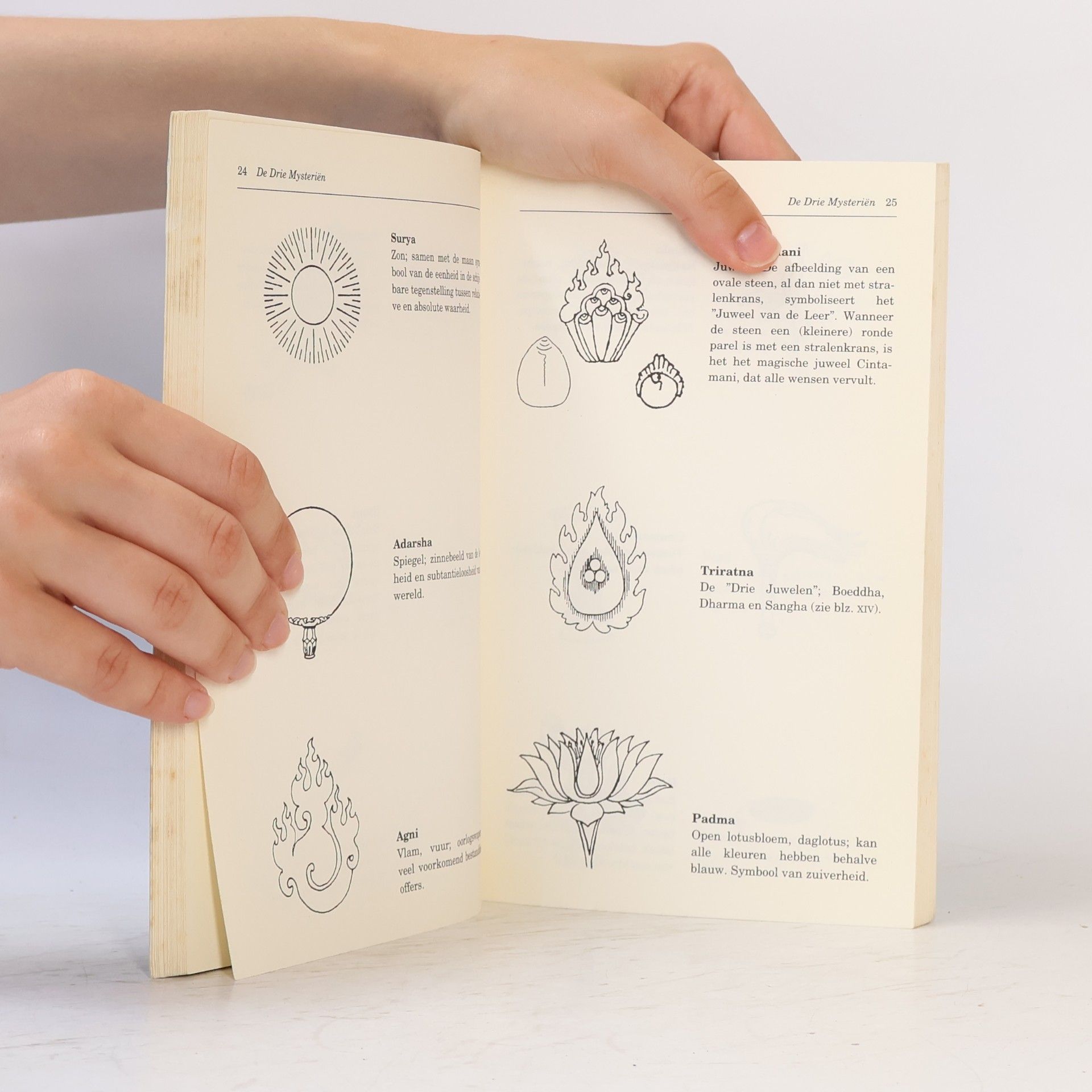 Eva Rudy Jansen Book of Buddhas