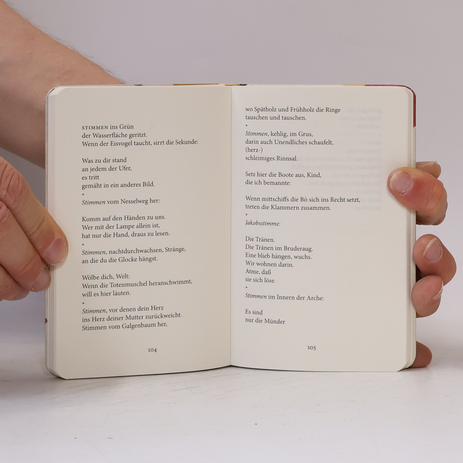 Paul Celan Die Niemandsrose