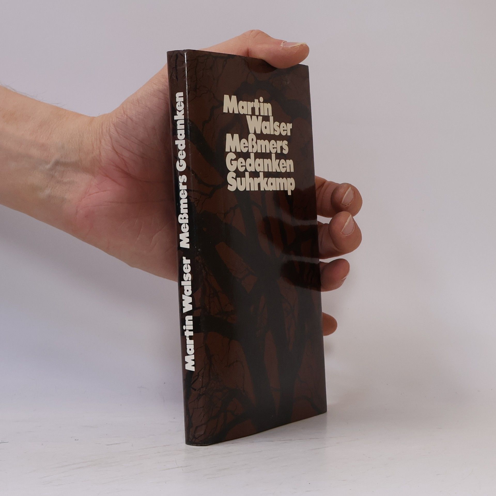 Martin Walser Messmers Gedanken