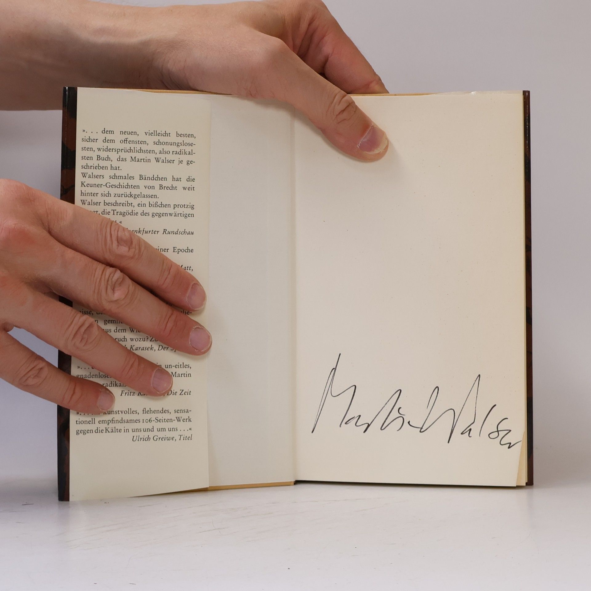 Martin Walser Messmers Gedanken