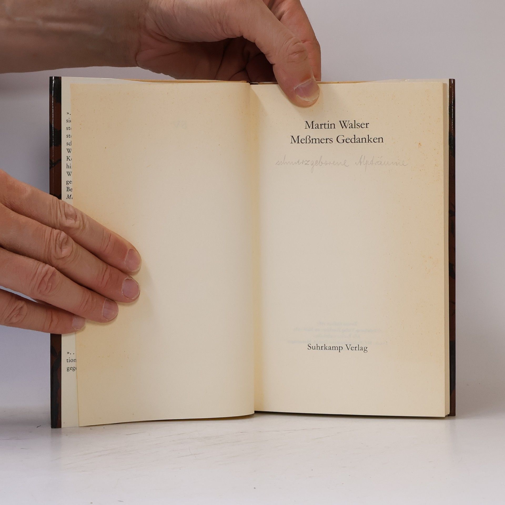 Martin Walser Messmers Gedanken