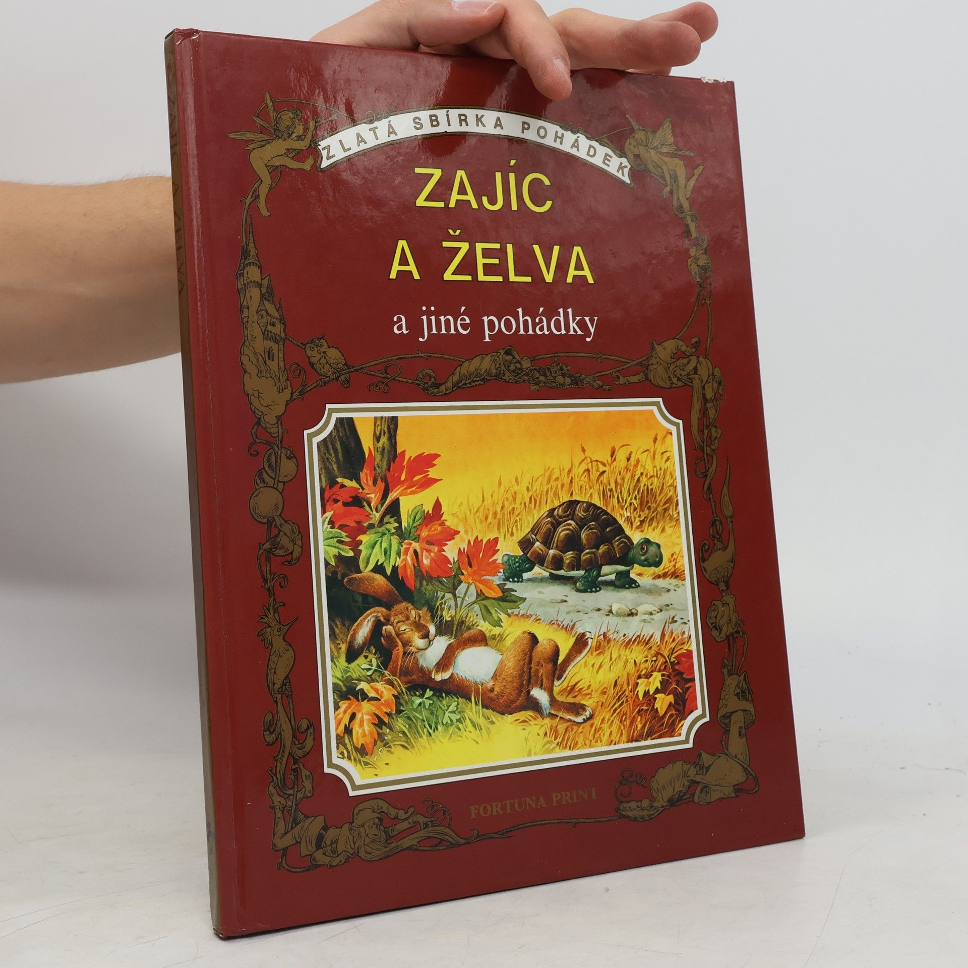 Kolektív autorov Zajíc a želva a jiné pohádky
