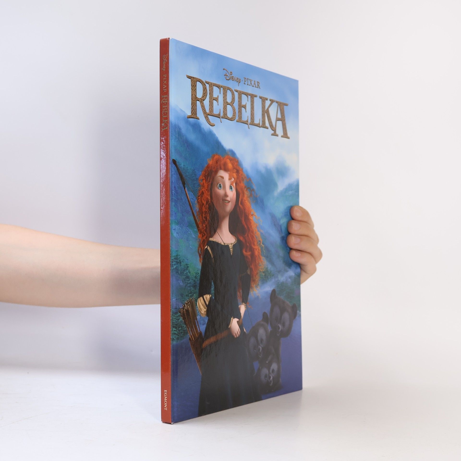 Kolektiv autorů Rebelka – filmový příběh