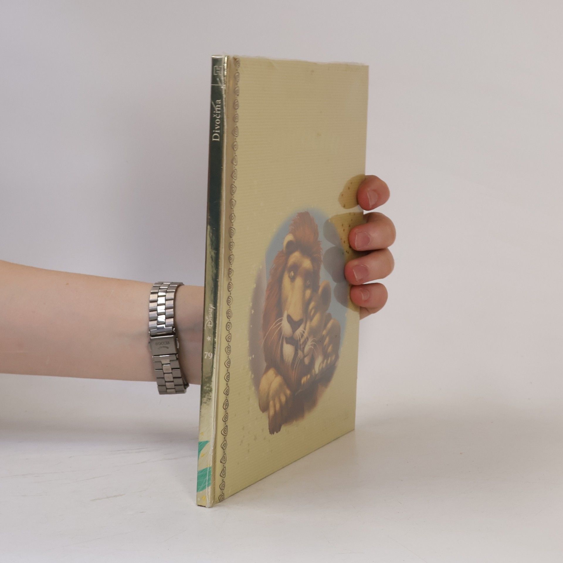 Collectif d'auteurs Zlatá sbírka pohádek 79. Divočina