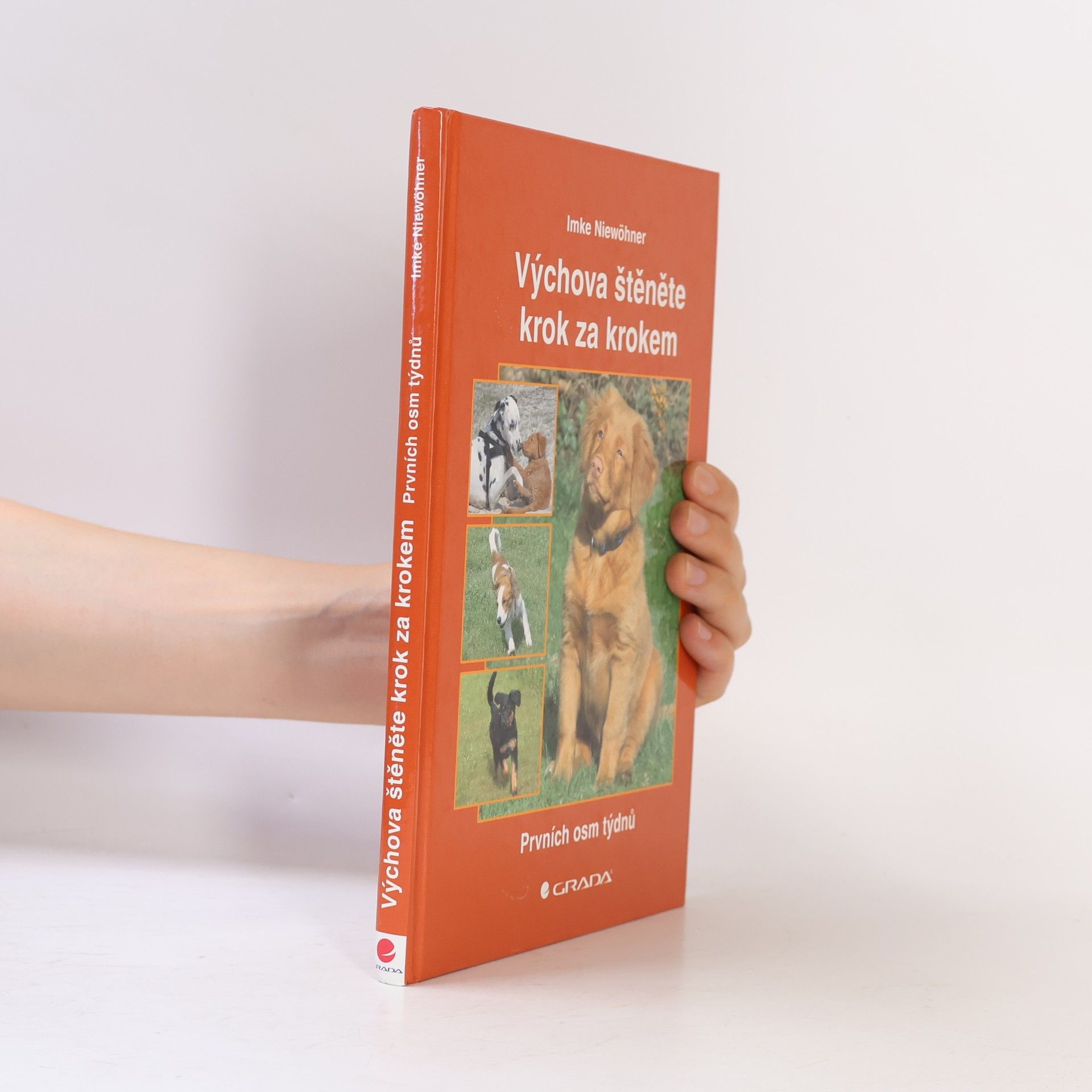 Výchova štěněte krok za krokem