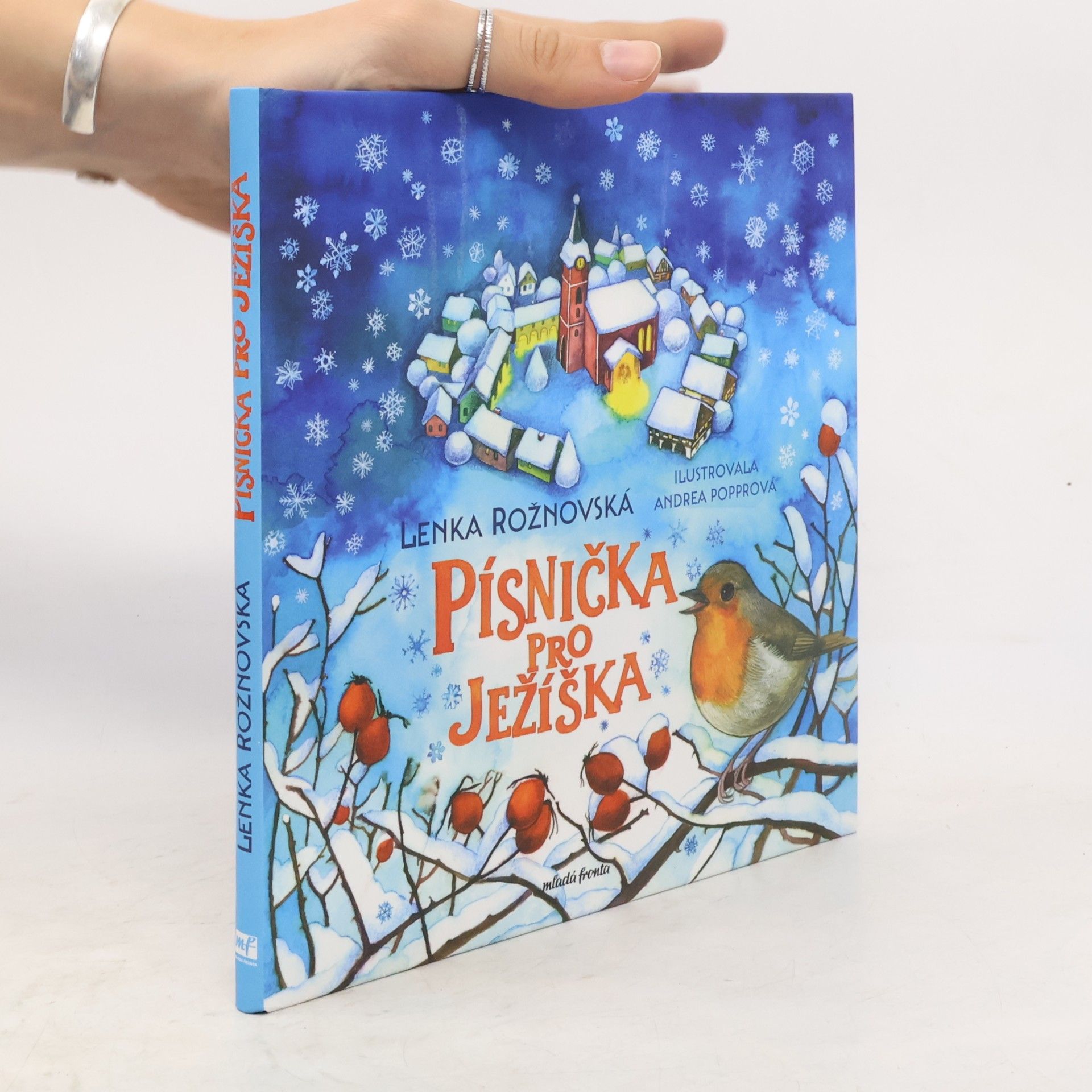Písnička pro Ježíška