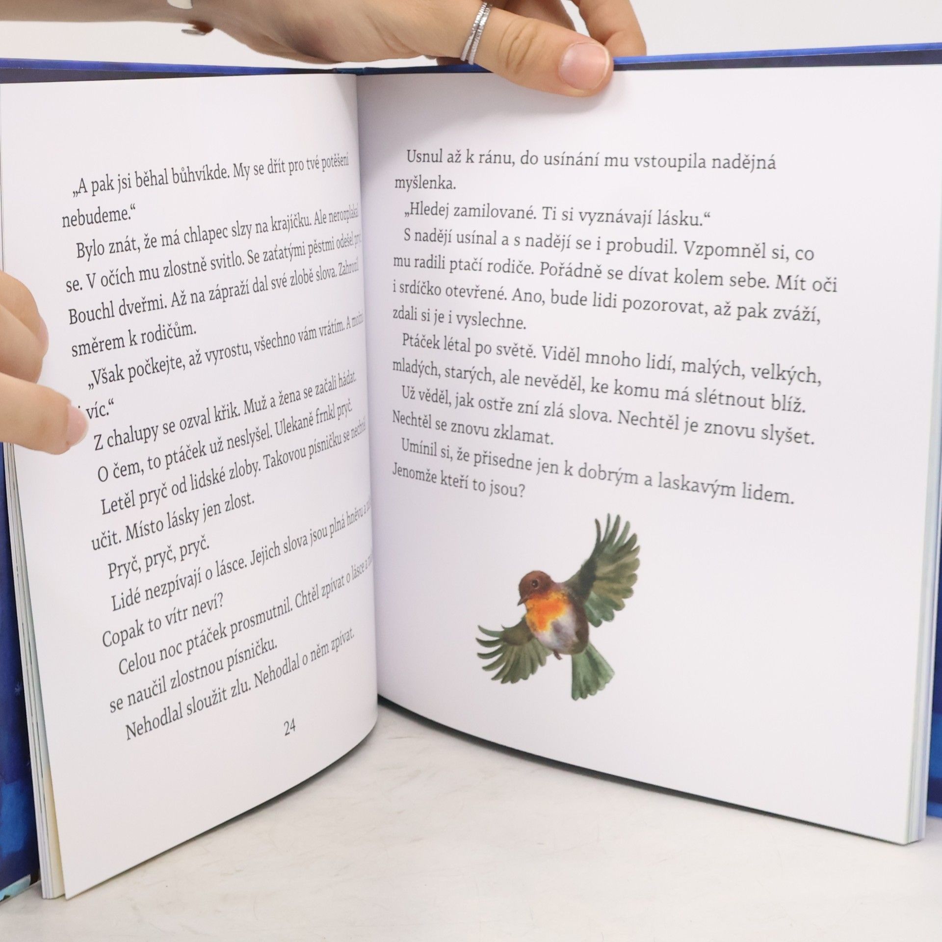 Lenka Rožnovská Písnička pro Ježíška