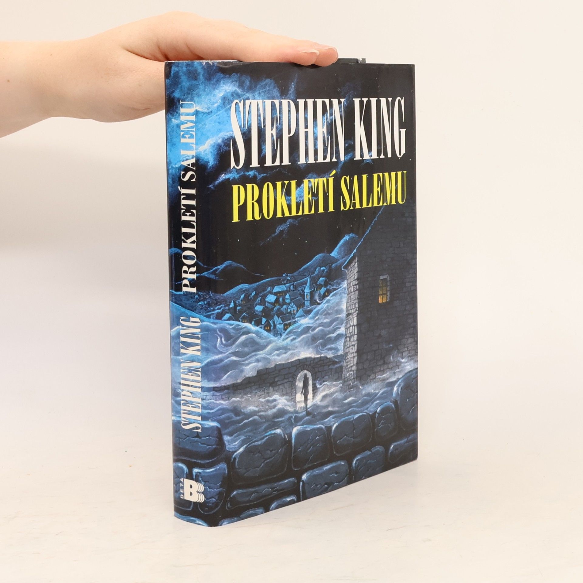 Stephen King Prokletí Salemu