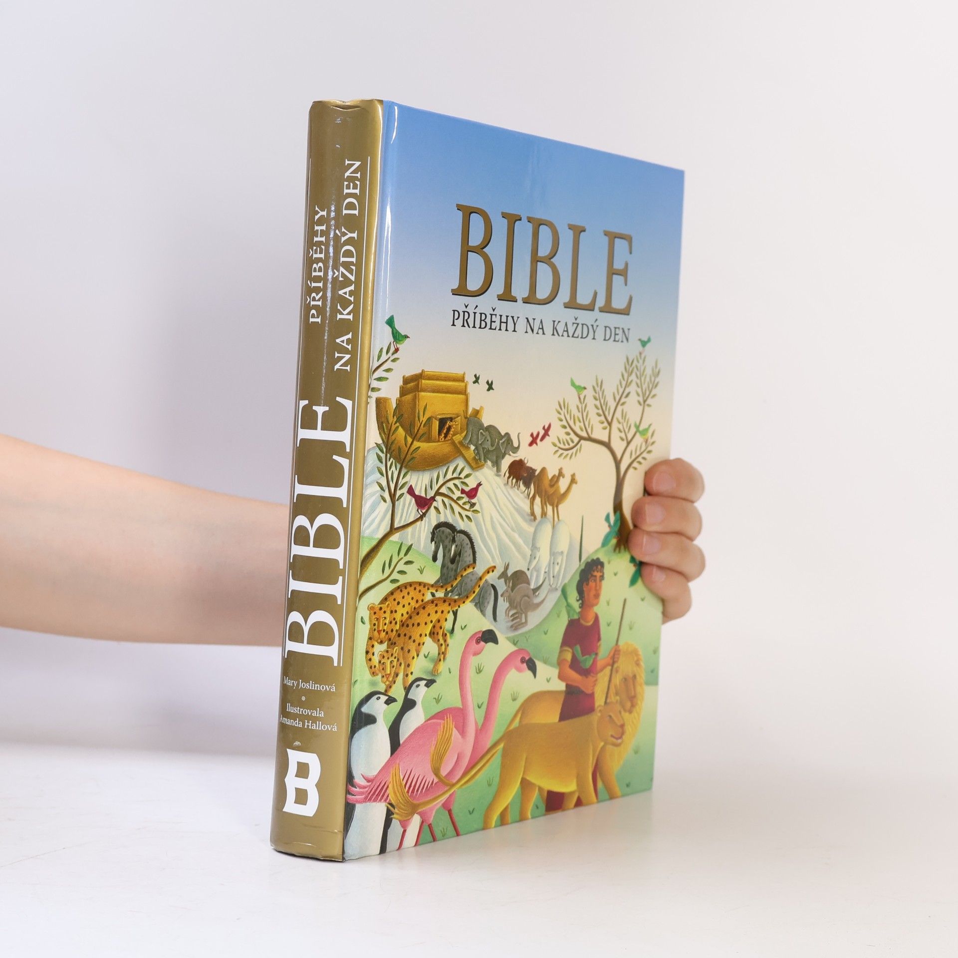 Mary Joslin Bible : příběhy na každý den