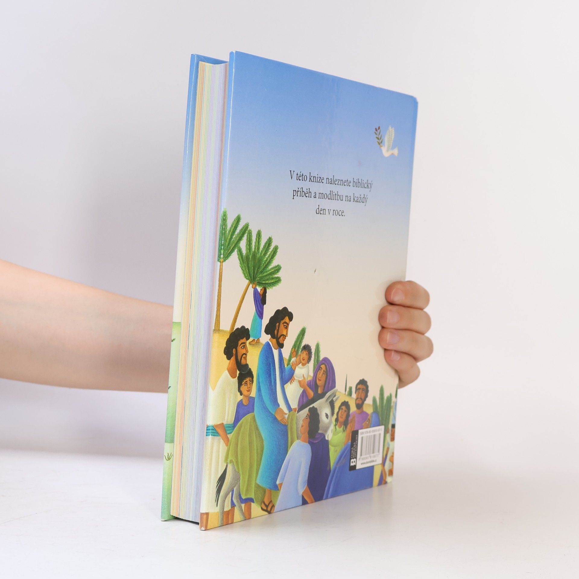 Mary Joslin Bible : příběhy na každý den