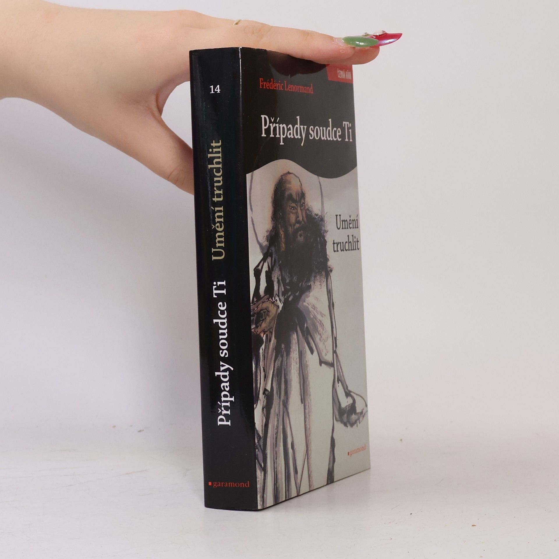 Frédéric Lenormand Případy soudce Ti. Umění truchlit