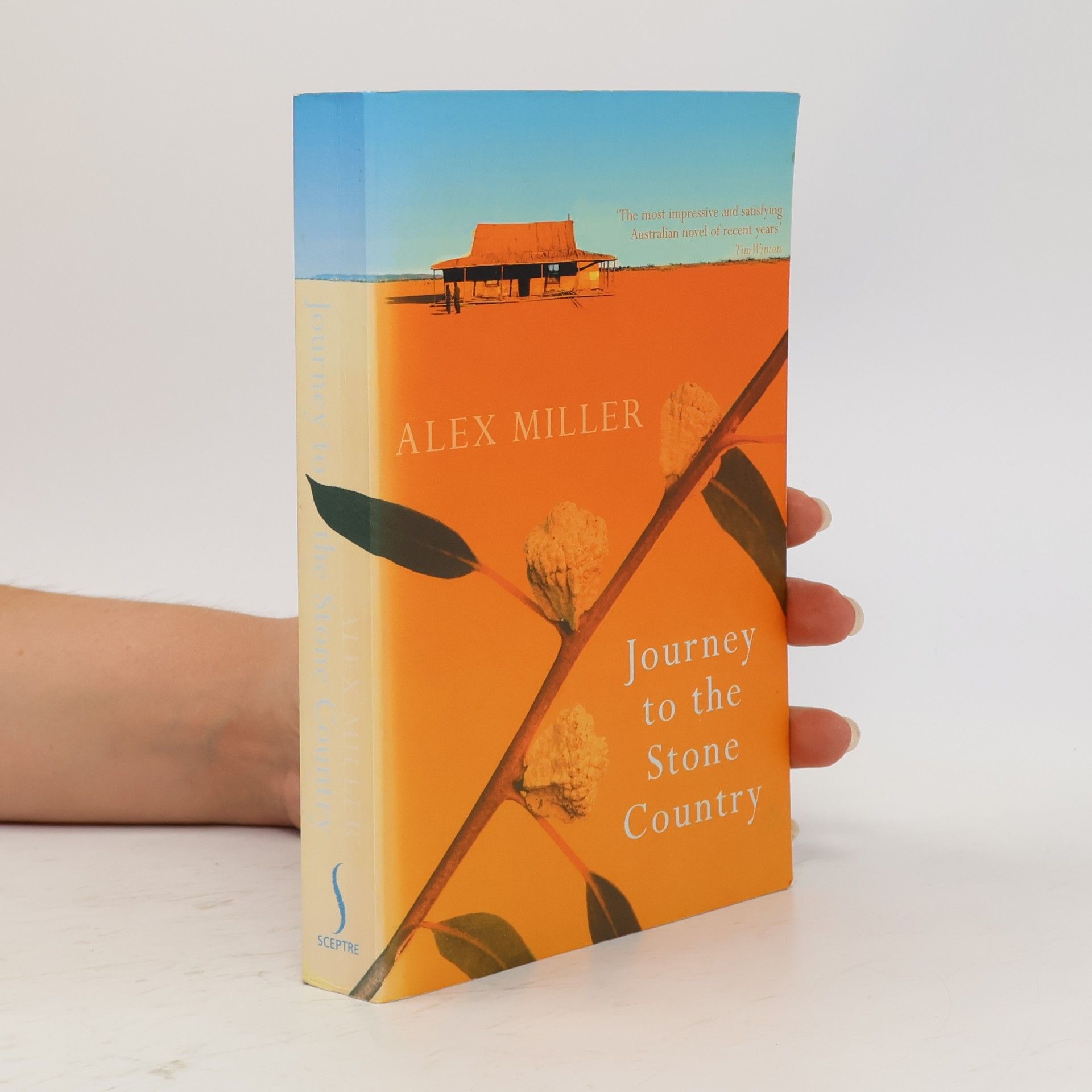 Alex Miller Journey to the Stone Country