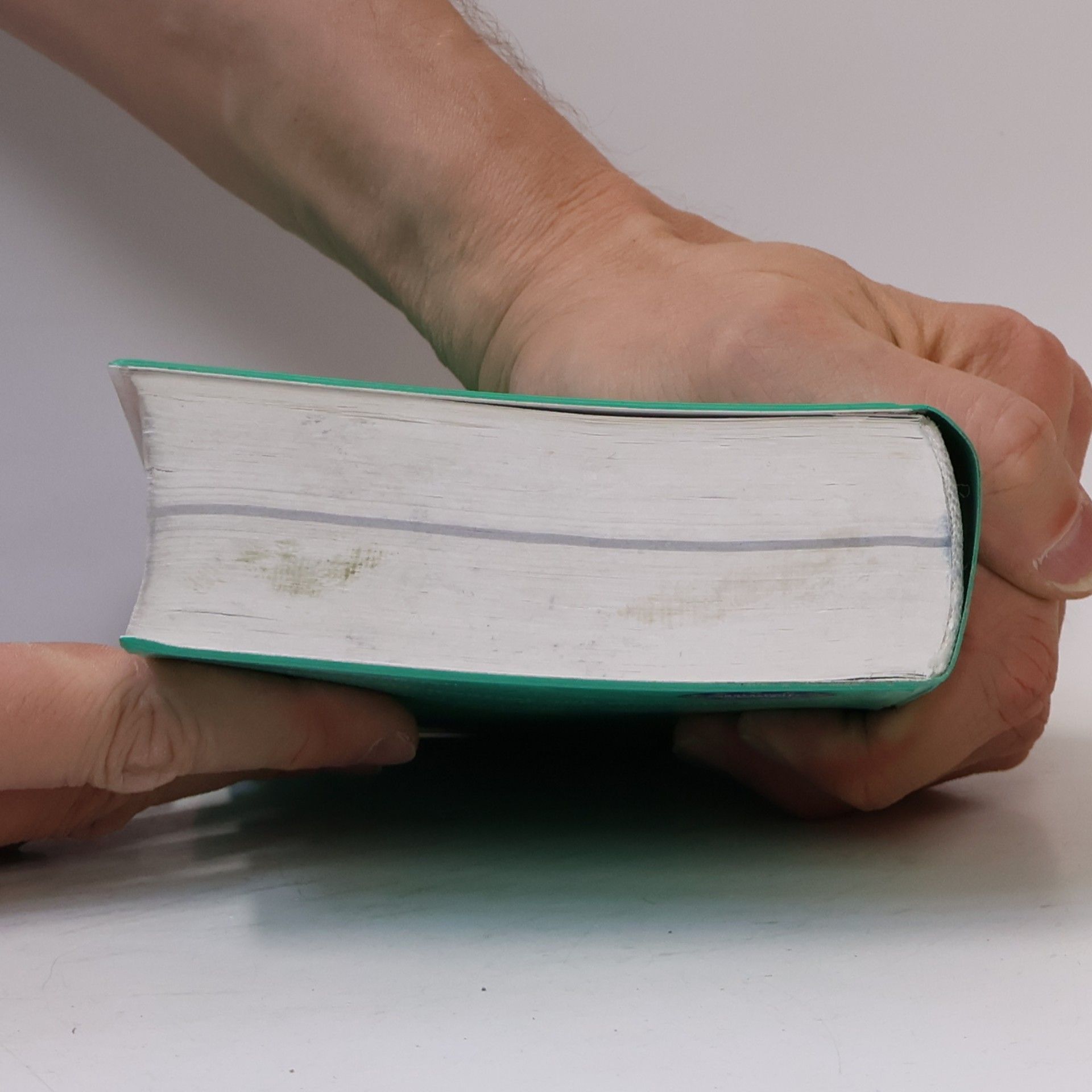 Björn Döringer PONS Standardwörterbuch