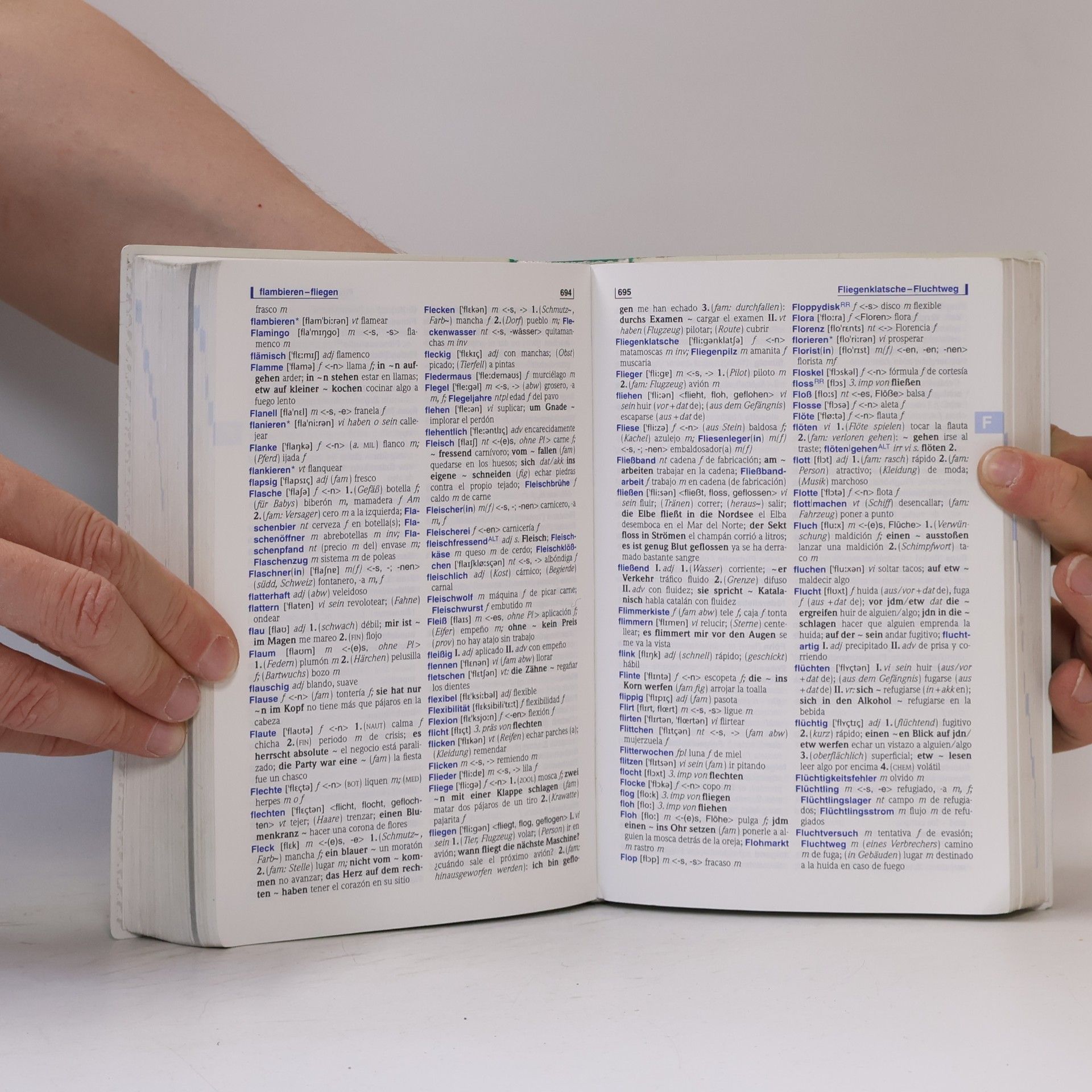 Björn Döringer PONS Standardwörterbuch
