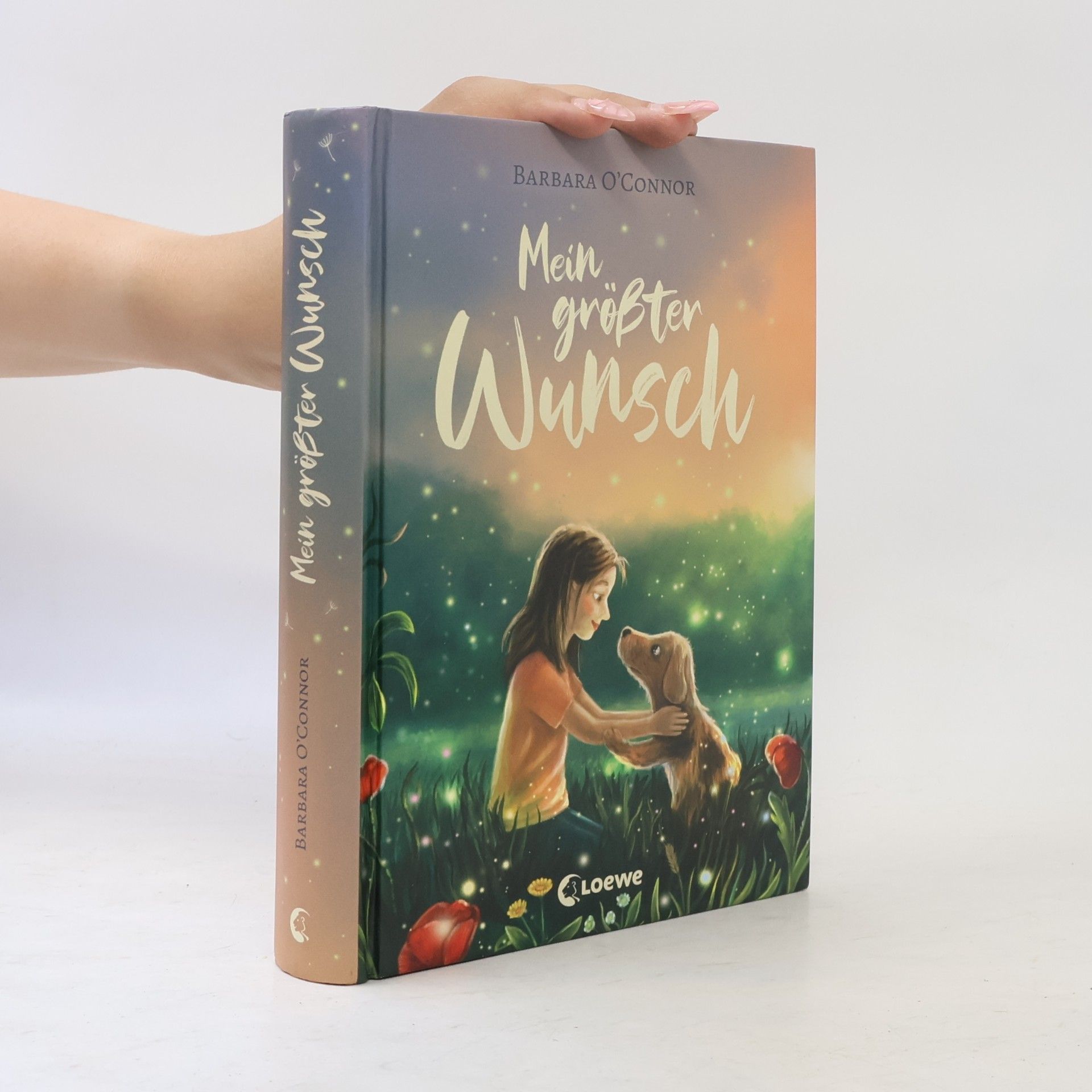 Barbara O´Connor Mein größter Wunsch
