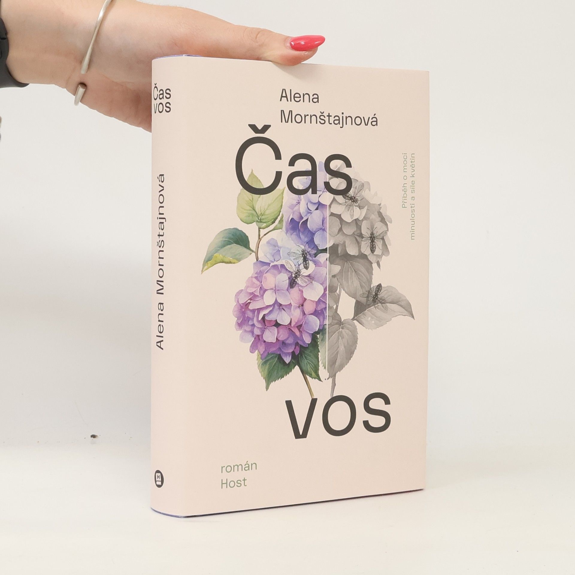 Alena Mornštajnová Čas vos