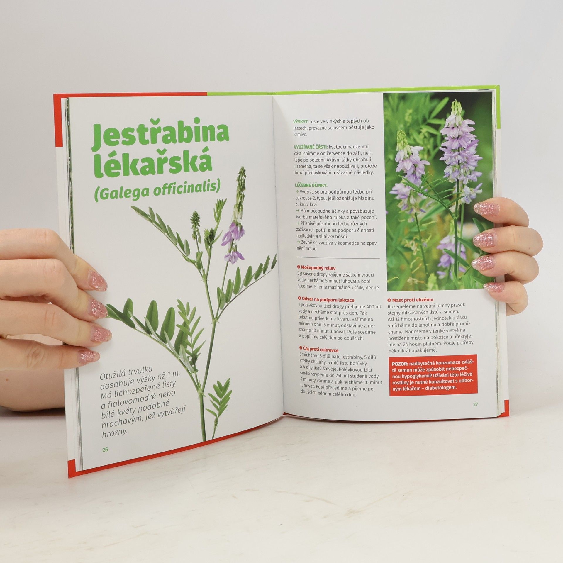 Autorenkollektiv Edice Receptář č.2: Zelená lékárna