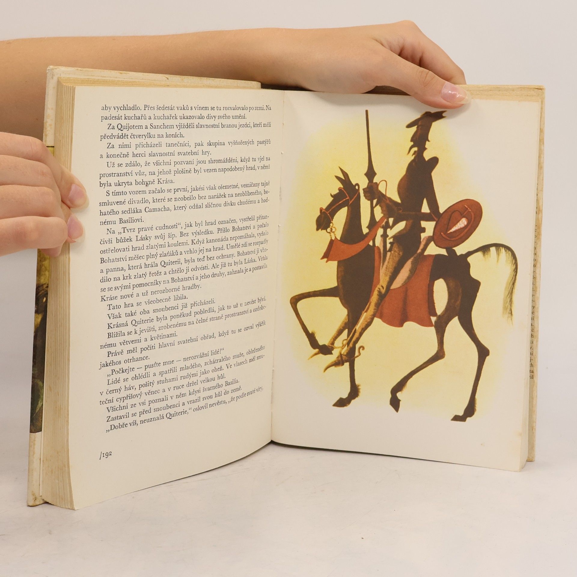 Miguel de Cervantes Saavedra Příběhy Dona Quijota
